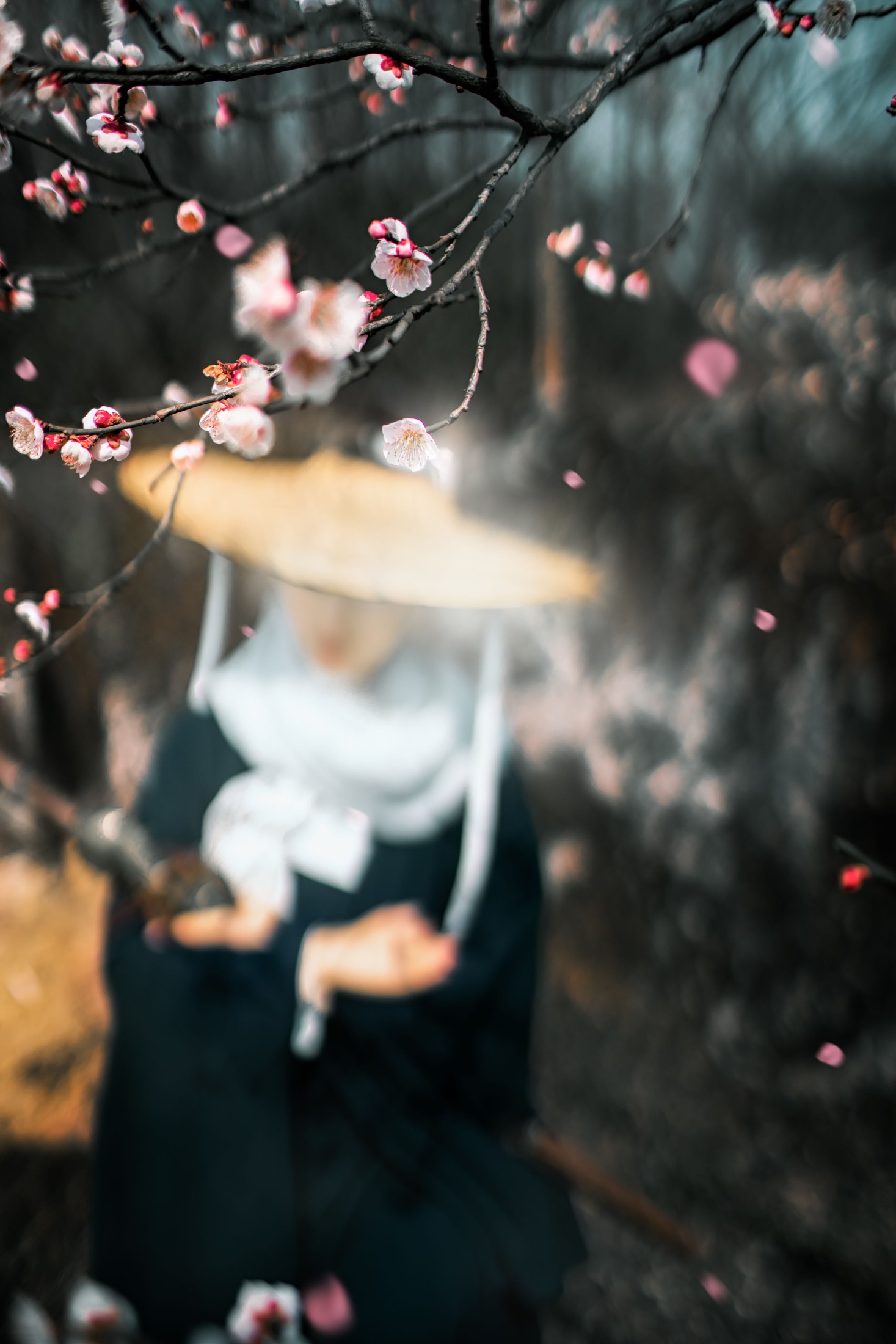 图片[4] - 初茶 - 《少年歌》[39P] - 机器猫次元 - 机器猫次元