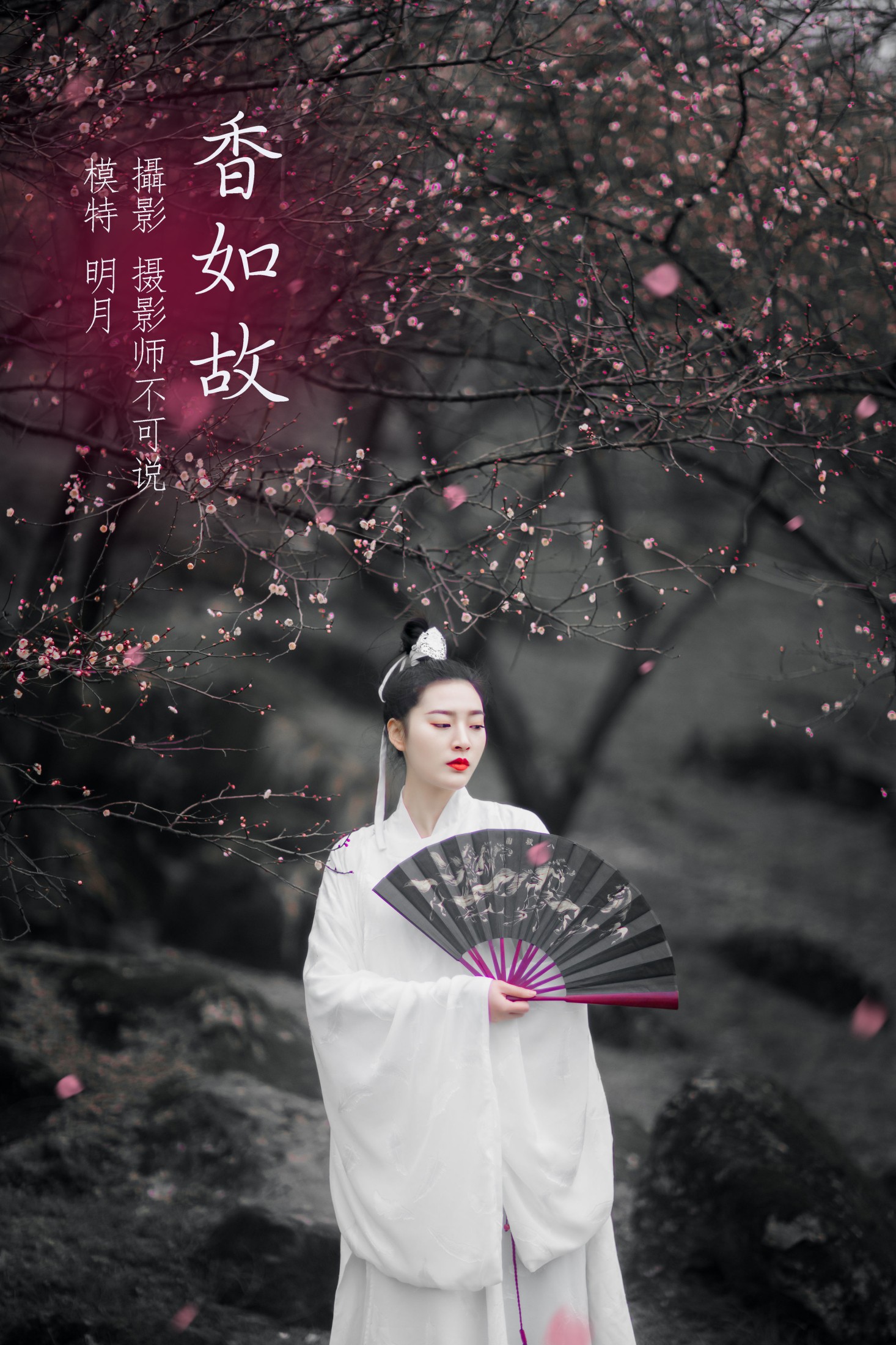 图片[1] - 明月 - 《香如故》[36P] - 机器猫次元 - 机器猫次元