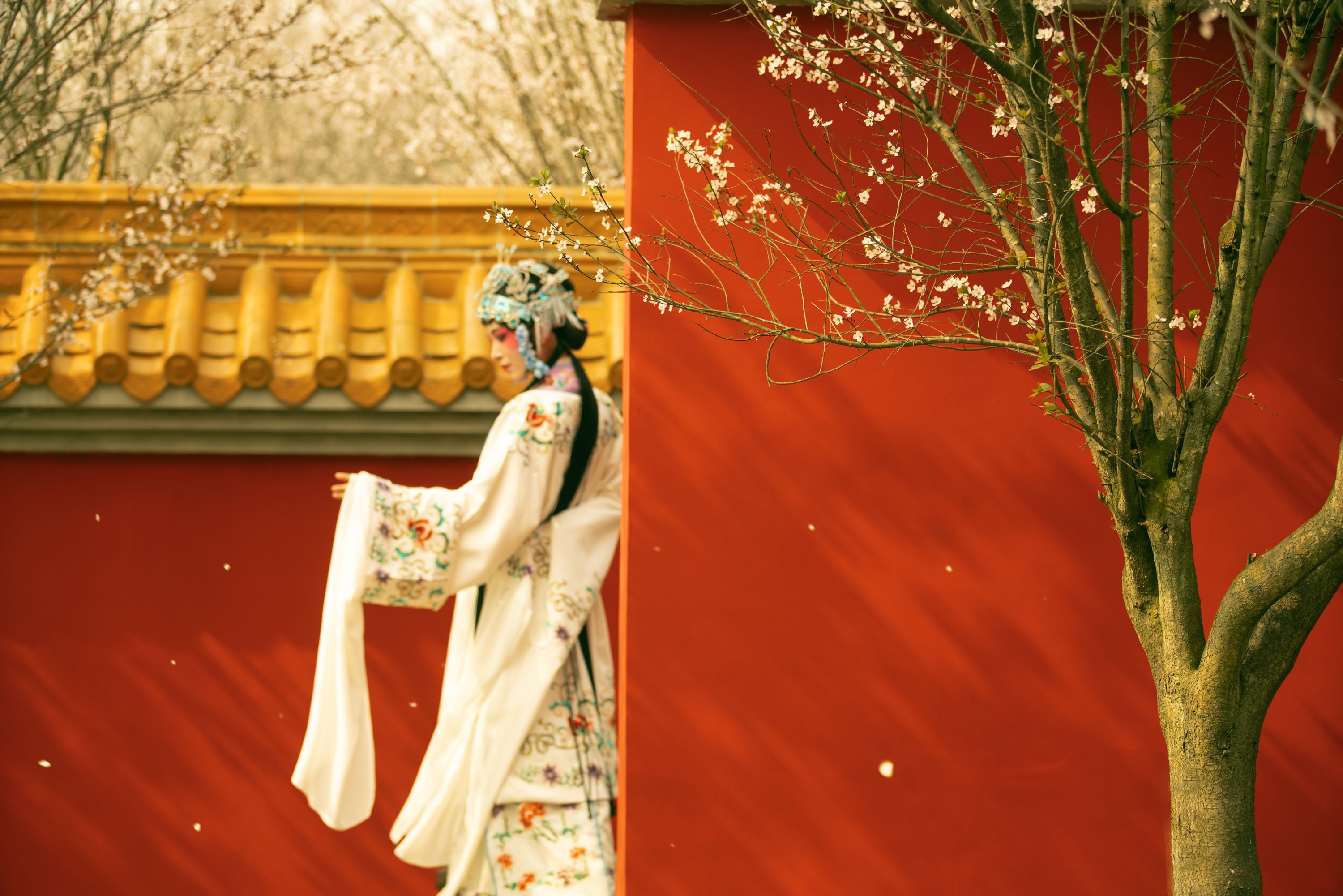 图片[8] - 修水凝花 - 《花满枝》[23P] - 机器猫次元 - 机器猫次元