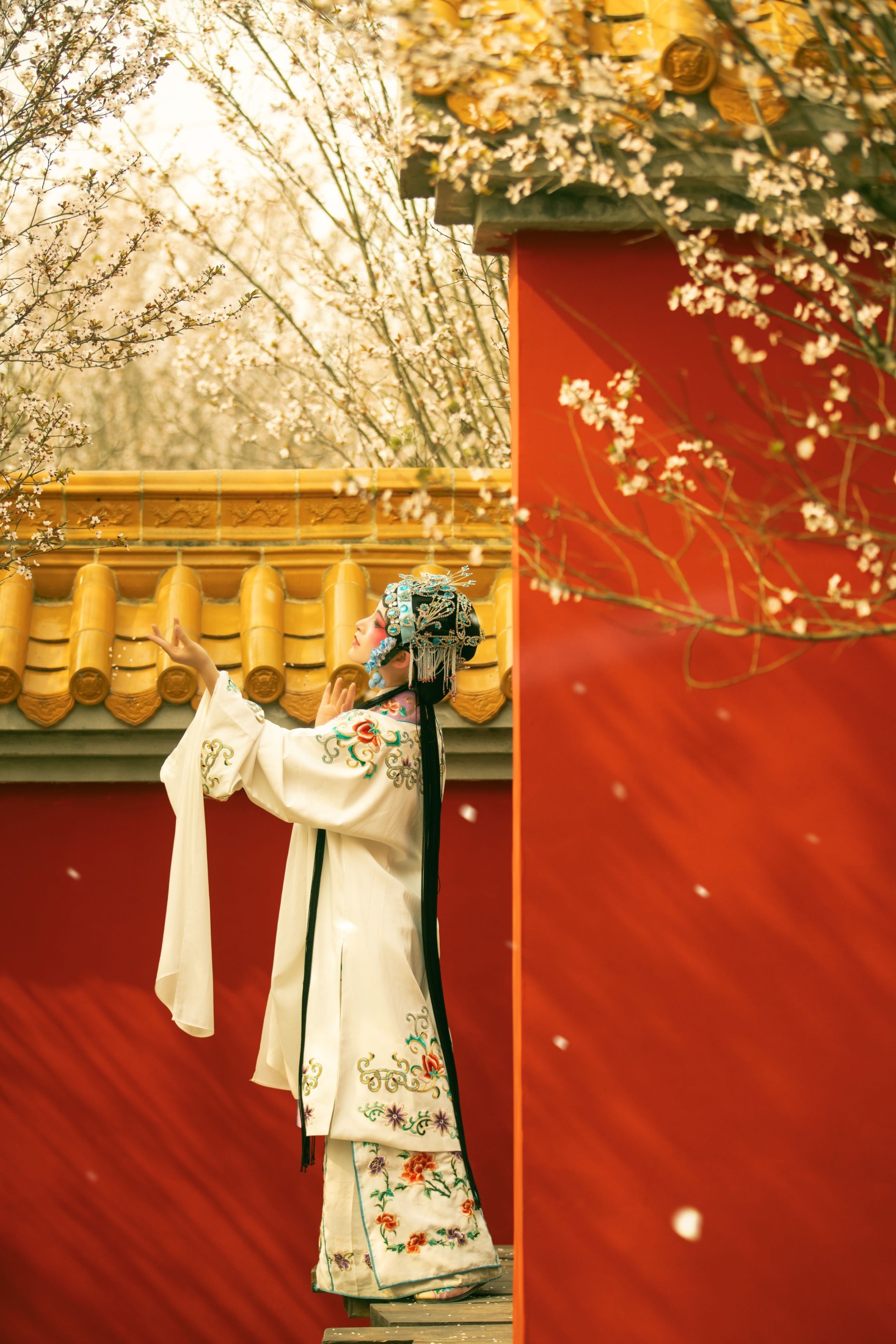 图片[5] - 修水凝花 - 《花满枝》[23P] - 机器猫次元 - 机器猫次元