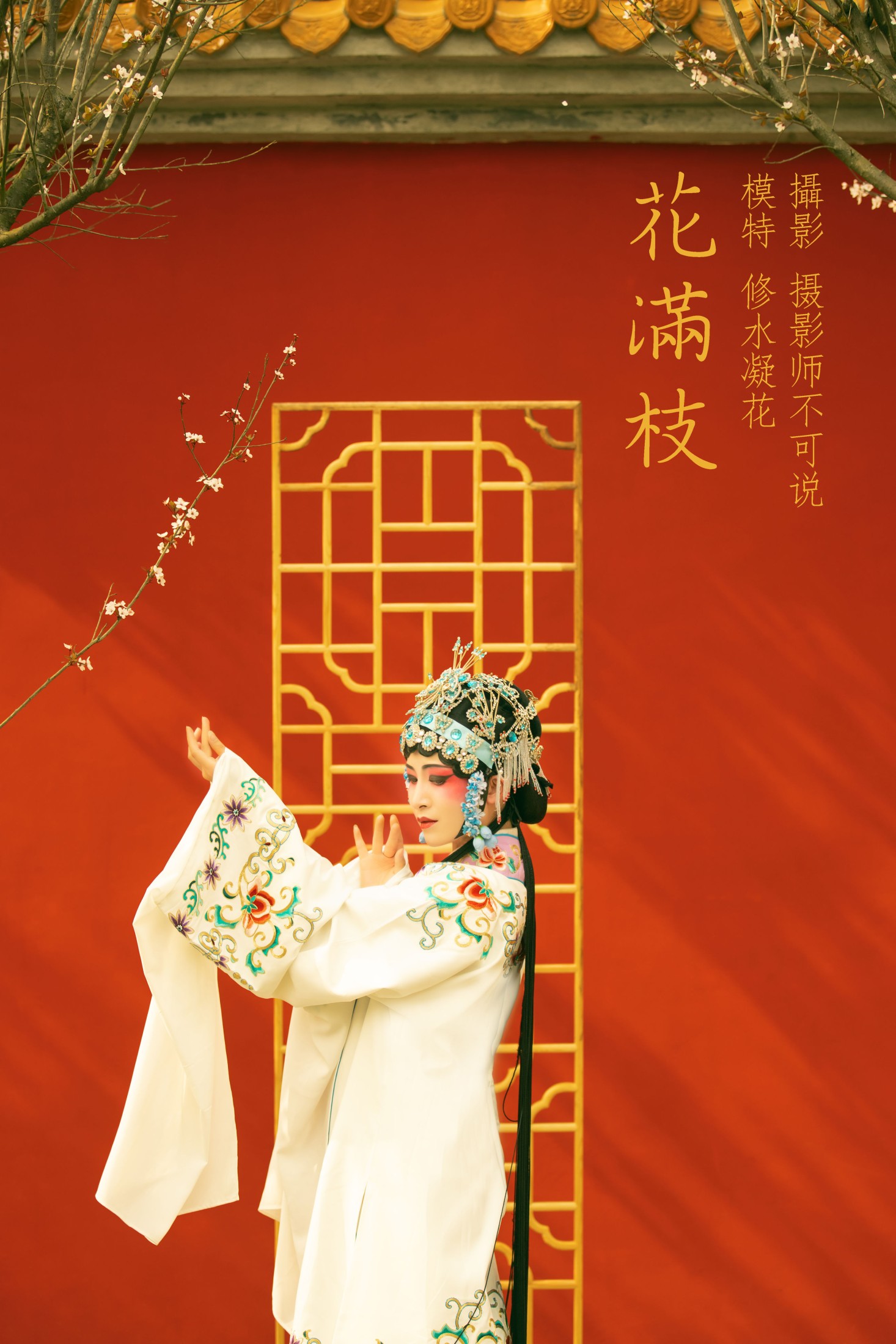 图片[1] - 修水凝花 - 《花满枝》[23P] - 机器猫次元 - 机器猫次元