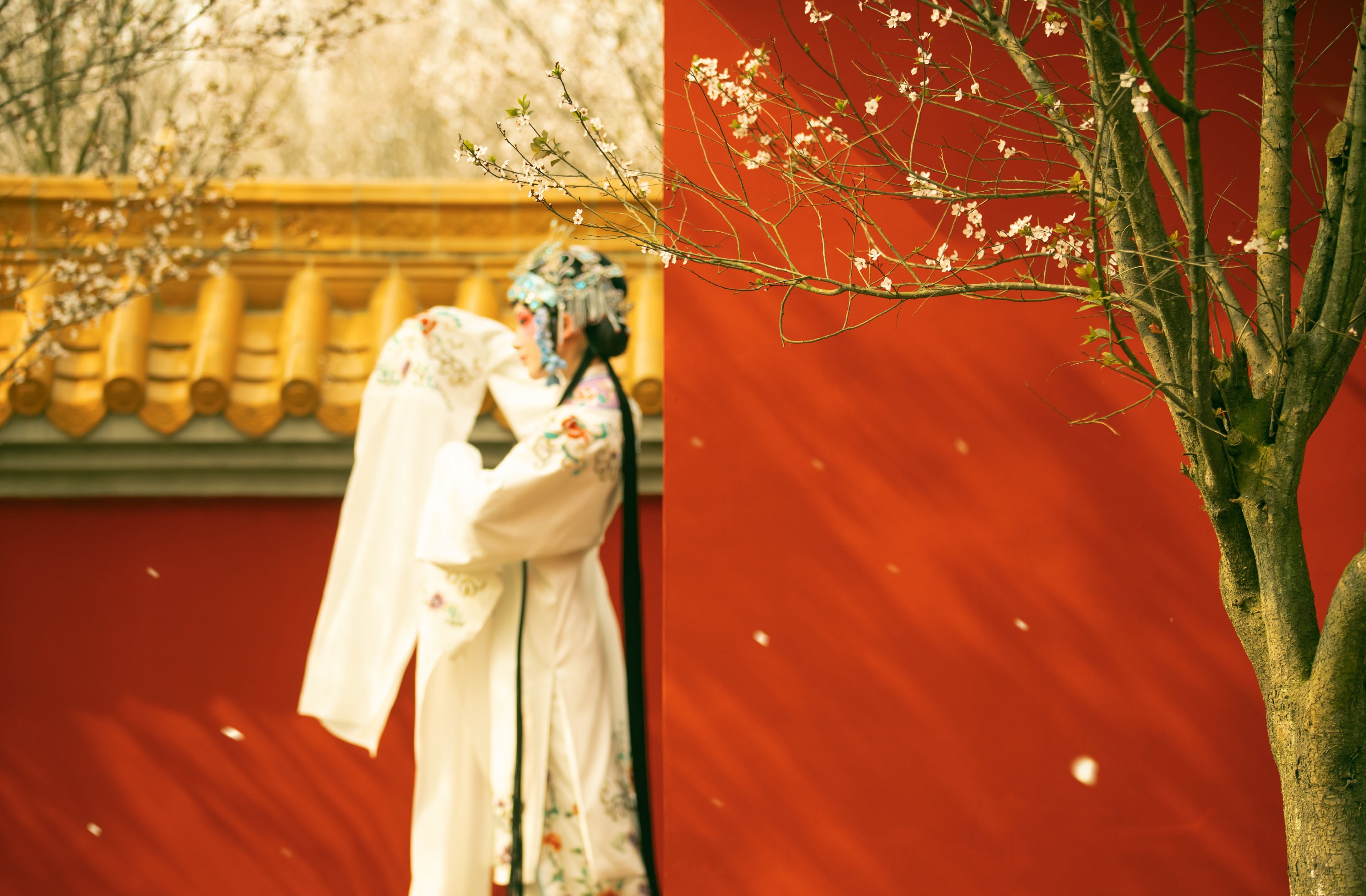 图片[6] - 修水凝花 - 《花满枝》[23P] - 机器猫次元 - 机器猫次元