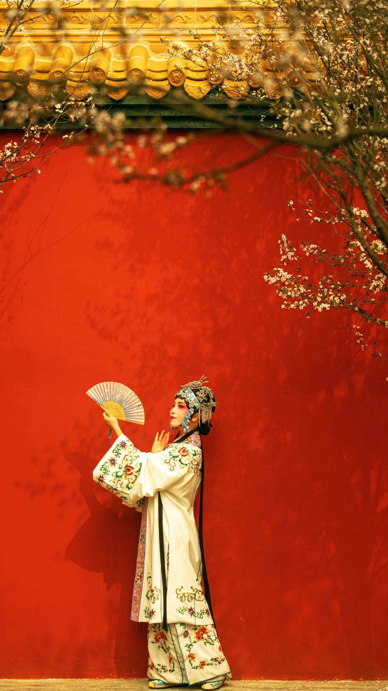 图片[3] - 修水凝花 - 《花满枝》[23P] - 机器猫次元 - 机器猫次元