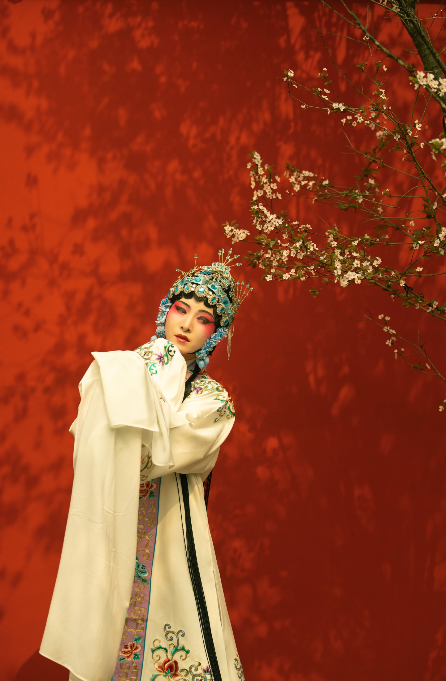 图片[4] - 修水凝花 - 《花满枝》[23P] - 机器猫次元 - 机器猫次元