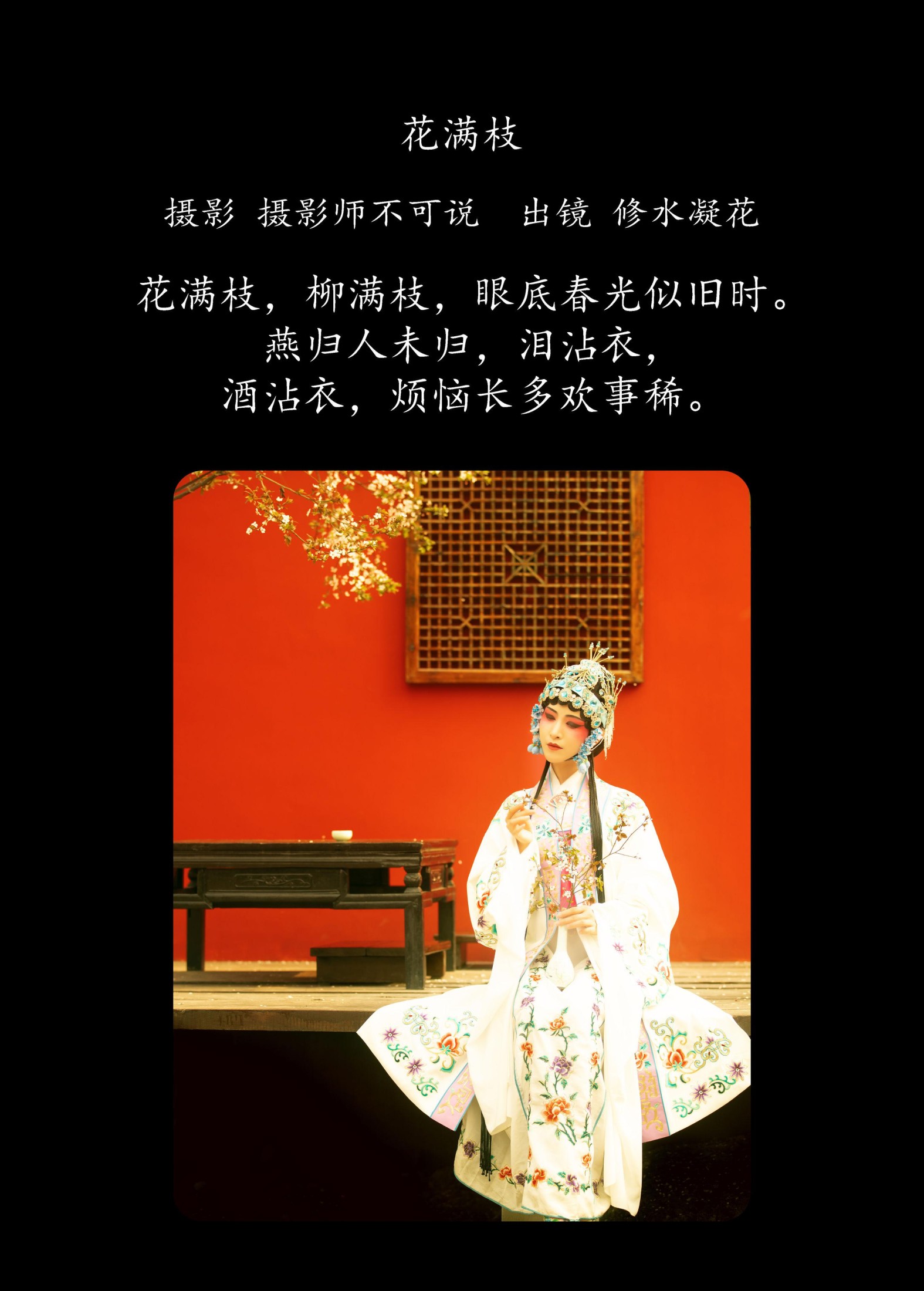 图片[2] - 修水凝花 - 《花满枝》[23P] - 机器猫次元 - 机器猫次元