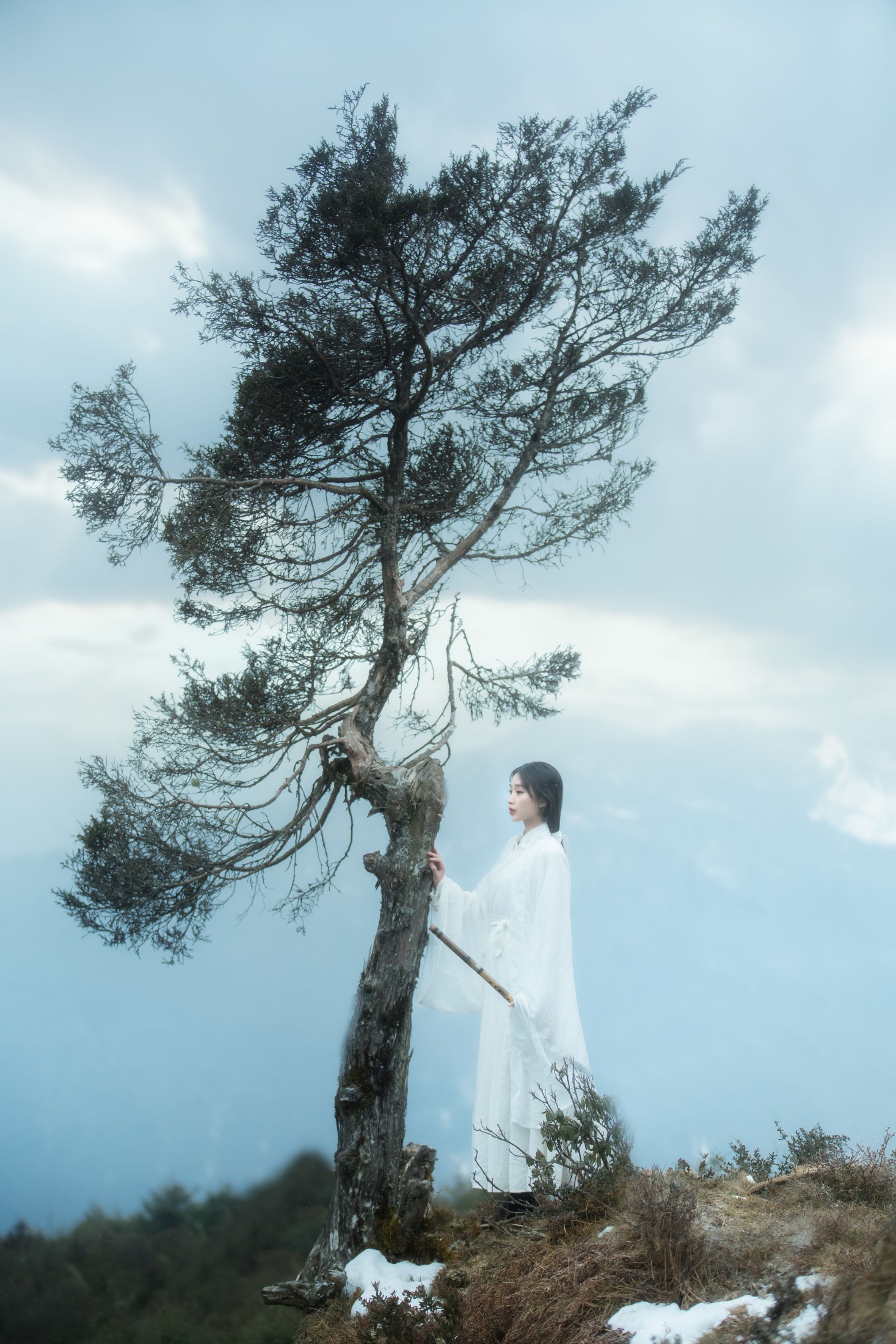 图片[8] - 酒里 - 《千山云》[23P] - 机器猫次元 - 机器猫次元