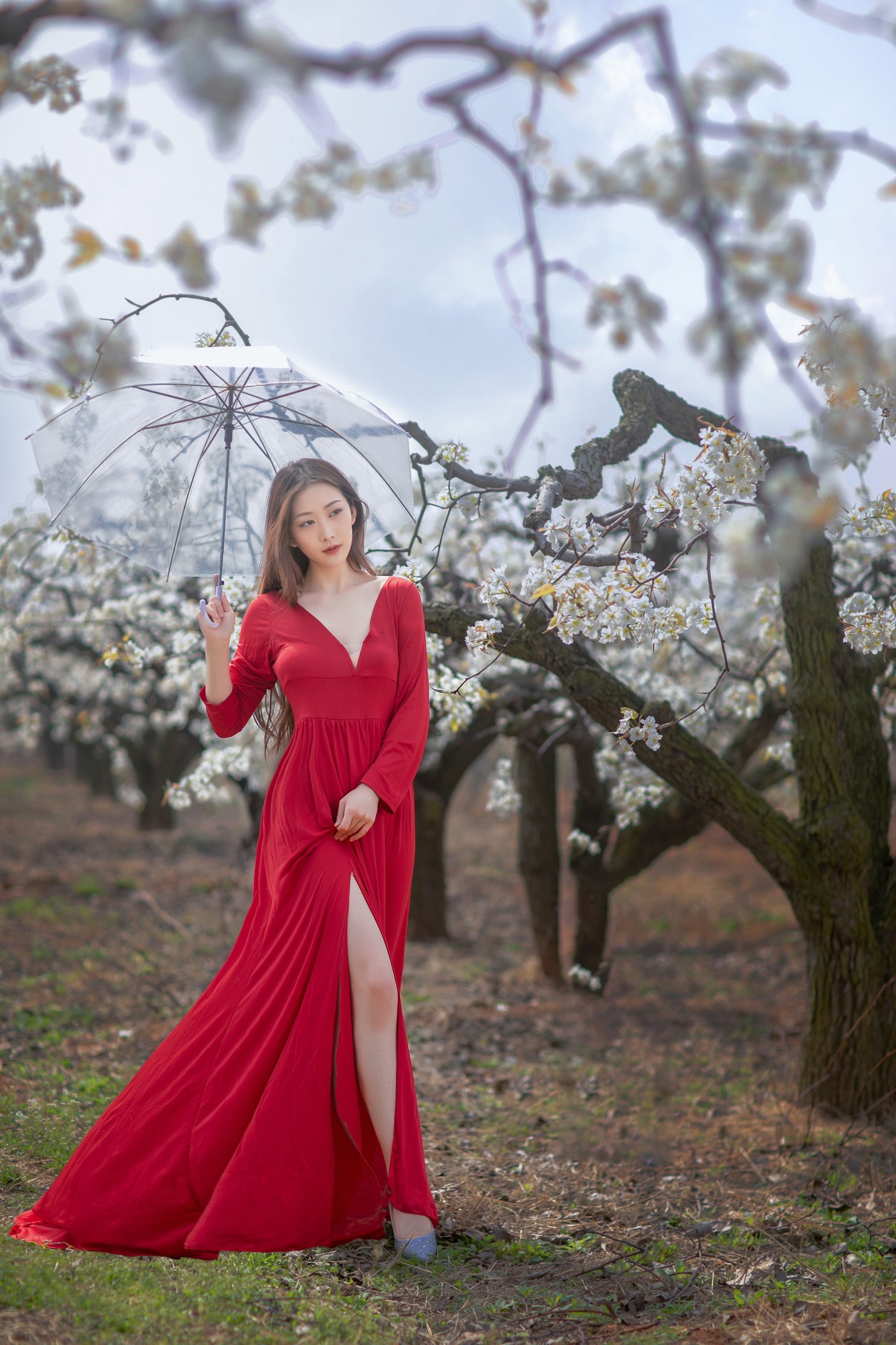 图片[5] - 如意 - 《一袭红妆拂梨花》[32P] - 机器猫次元 - 机器猫次元