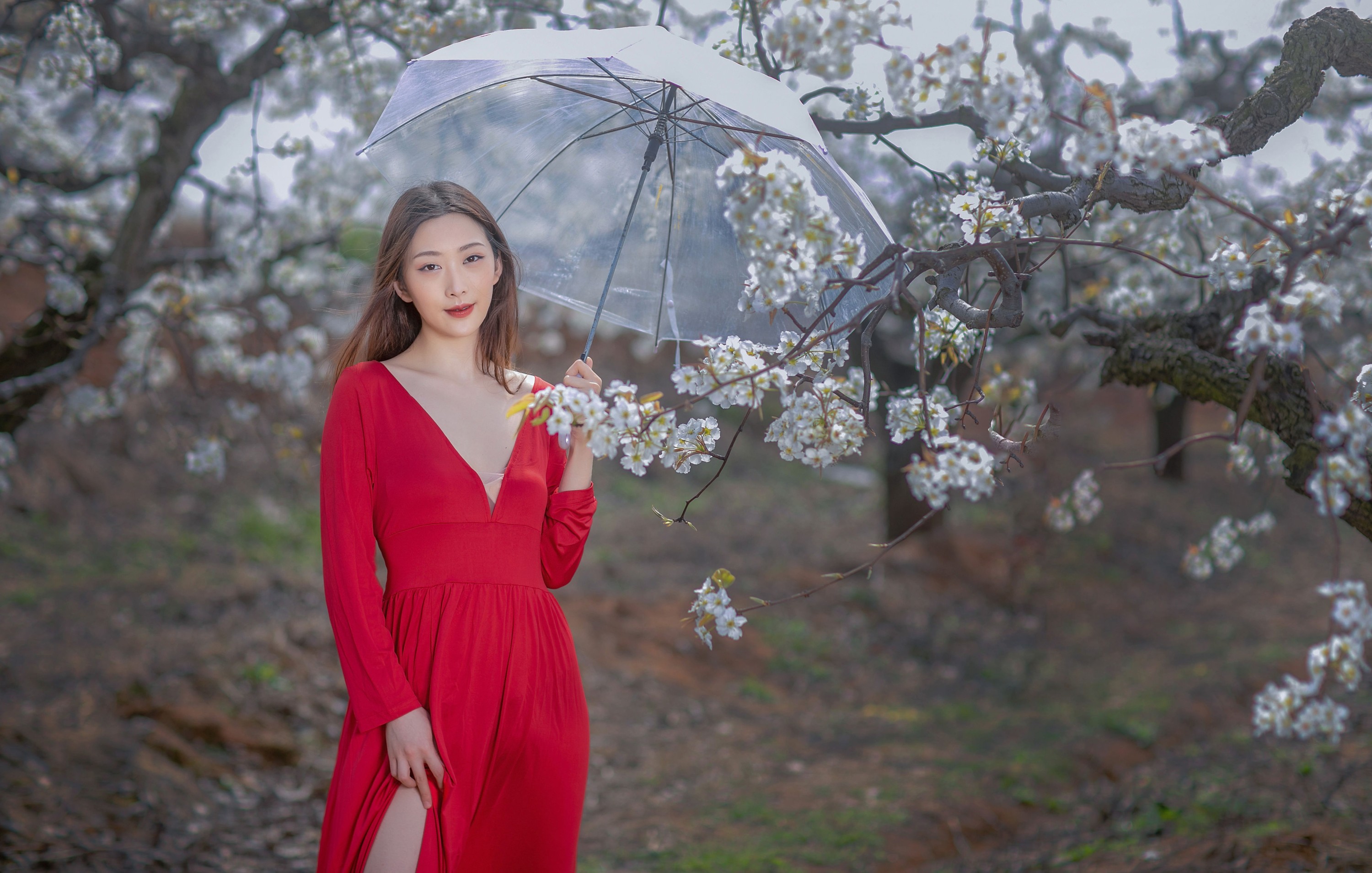 图片[8] - 如意 - 《一袭红妆拂梨花》[32P] - 机器猫次元 - 机器猫次元