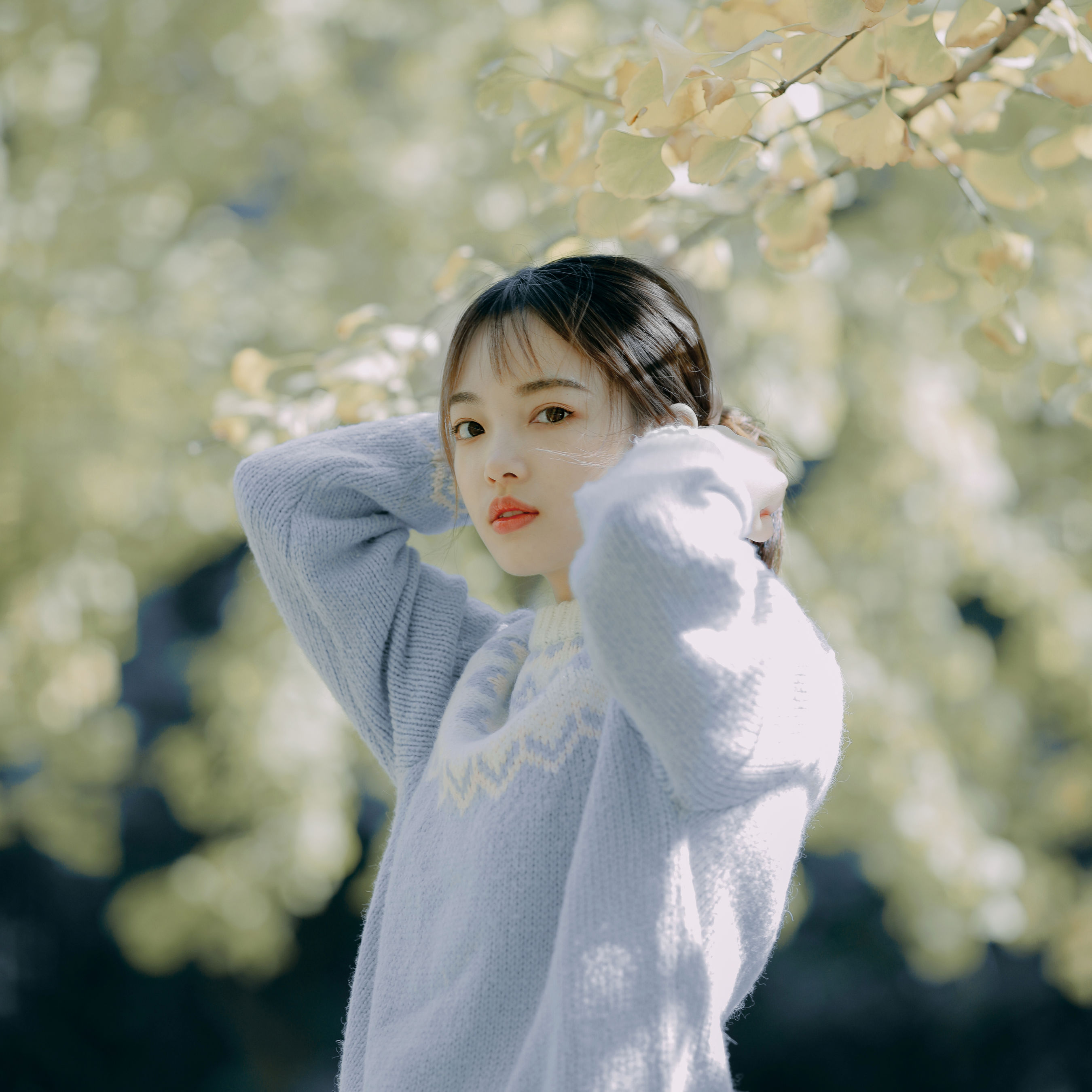 图片[3] - 一鸭咿呀哟 - 《蓝色的银杏》[24P] - 机器猫次元 - 机器猫次元