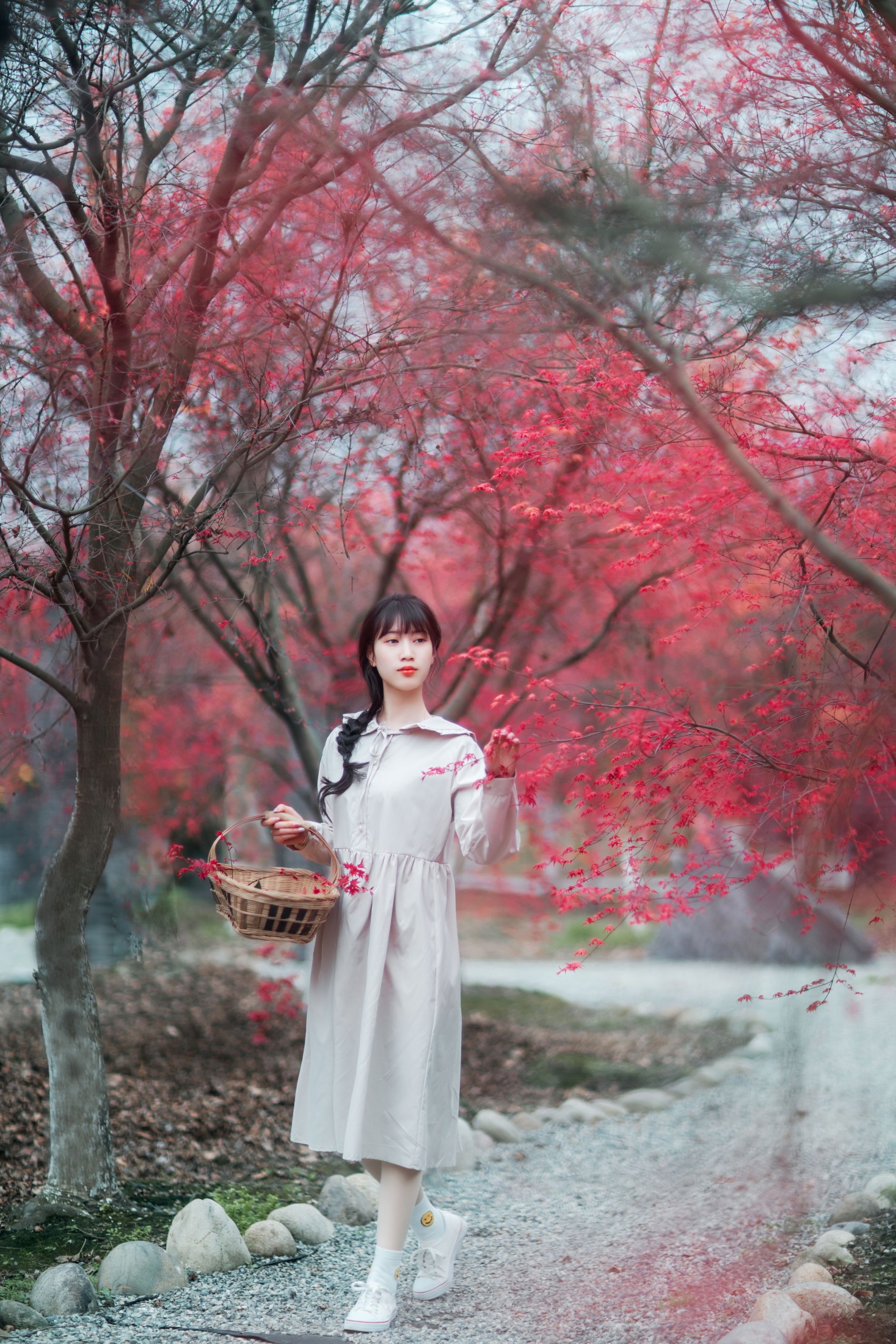 图片[5] - 初茶 - 《枫林春晓》[39P] - 机器猫次元 - 机器猫次元