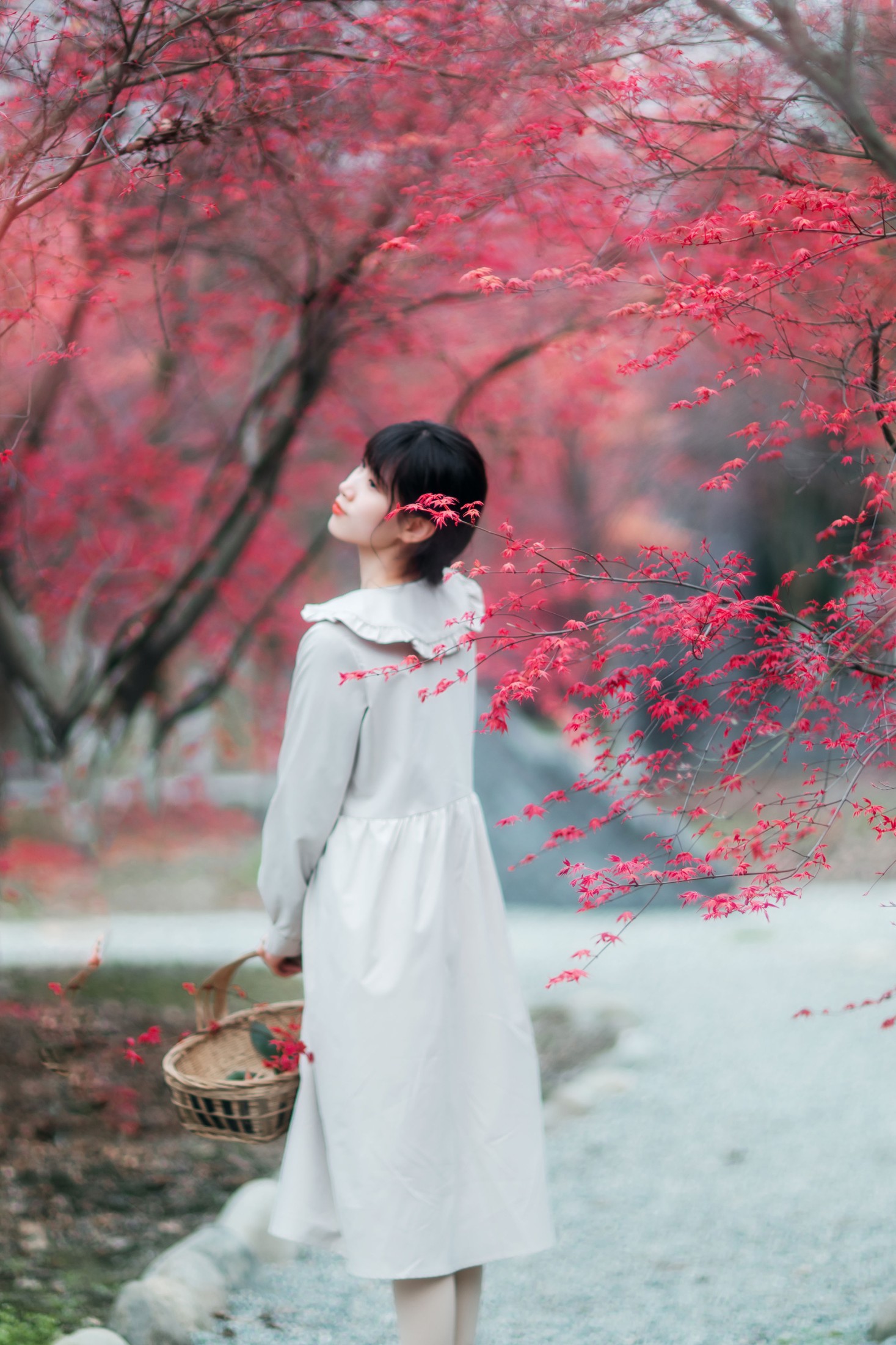 图片[6] - 初茶 - 《枫林春晓》[39P] - 机器猫次元 - 机器猫次元