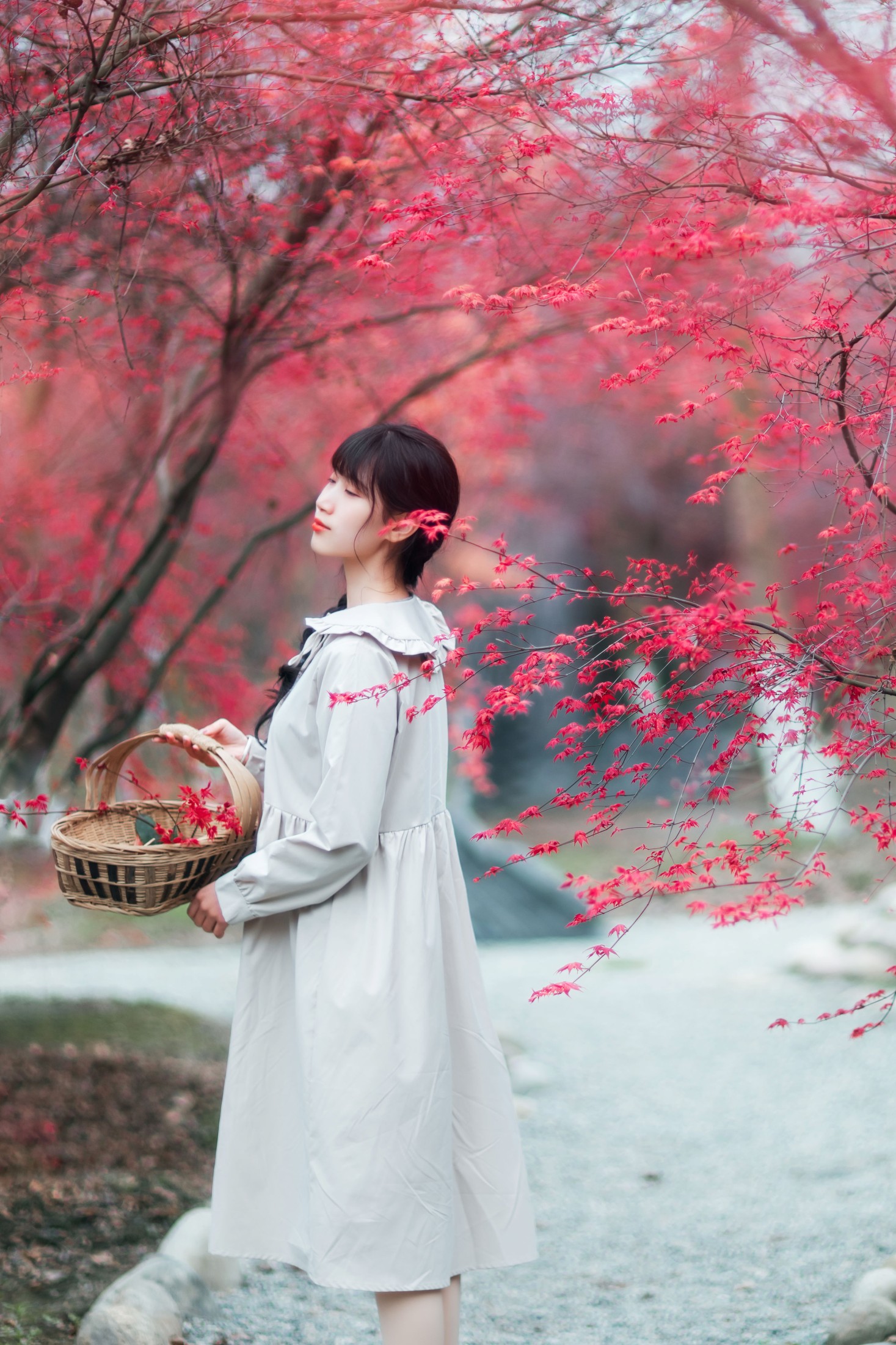 图片[7] - 初茶 - 《枫林春晓》[39P] - 机器猫次元 - 机器猫次元