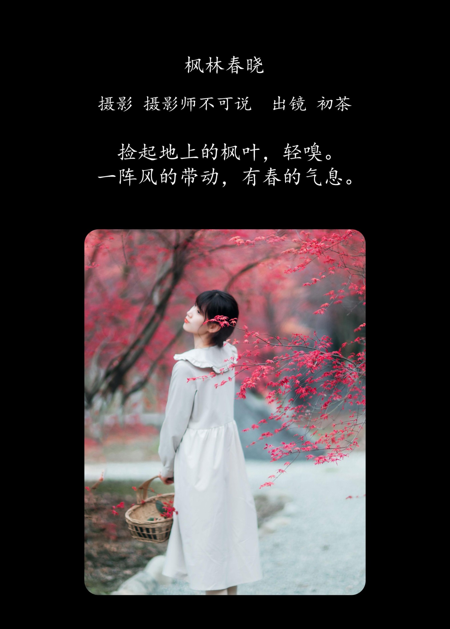 图片[2] - 初茶 - 《枫林春晓》[39P] - 机器猫次元 - 机器猫次元