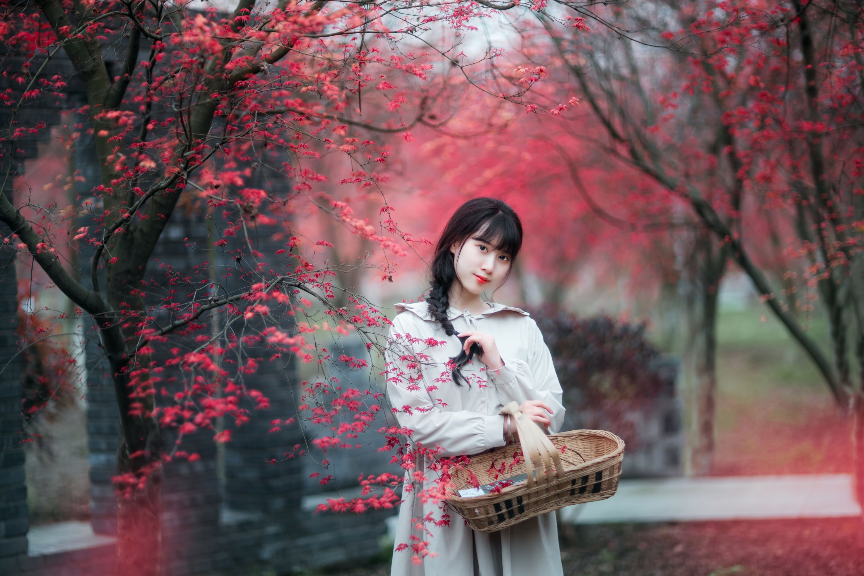 图片[3] - 初茶 - 《枫林春晓》[39P] - 机器猫次元 - 机器猫次元