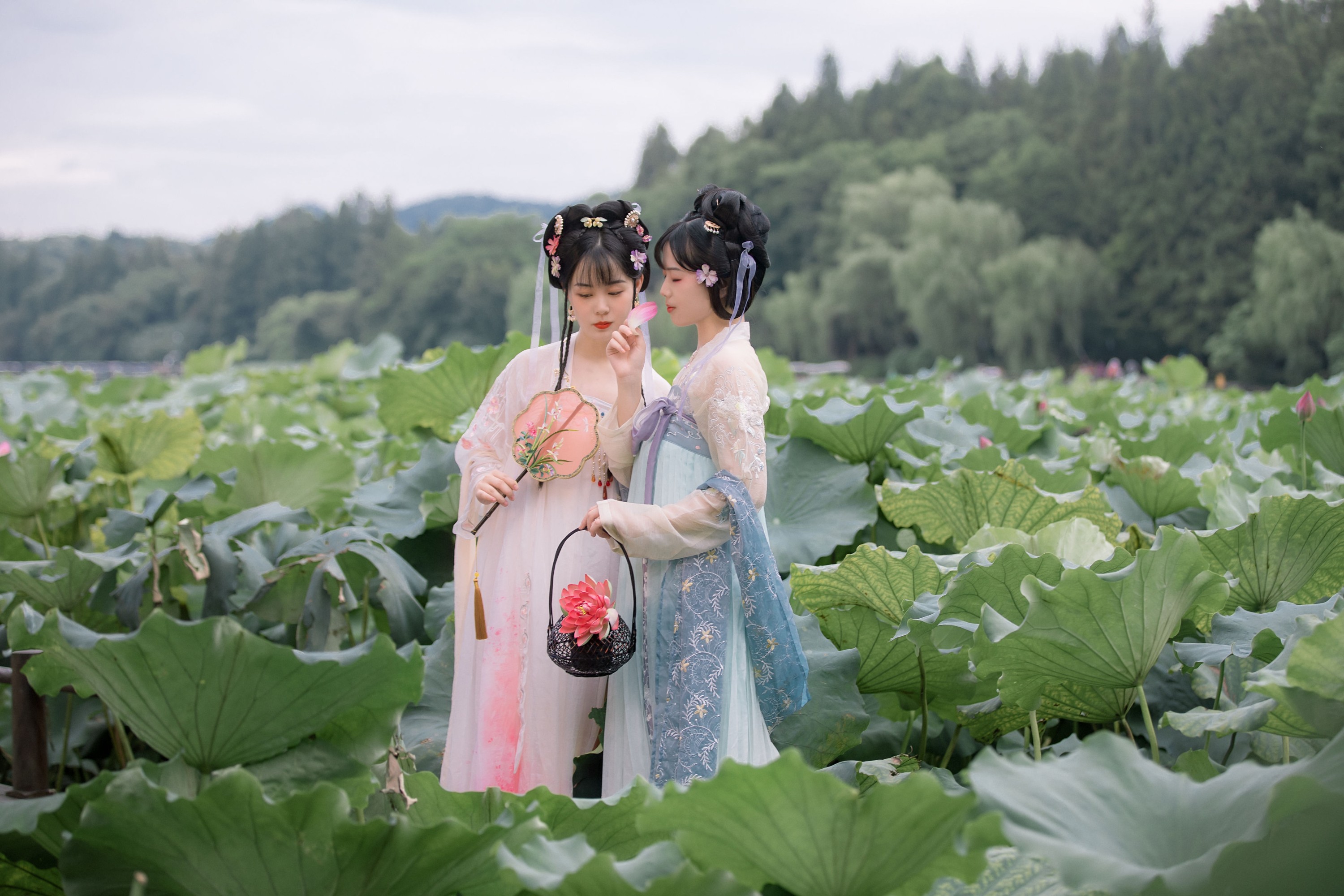 图片[3] - 乌啾啾 僵僵 - 《赏荷》[24P] - 机器猫次元 - 机器猫次元