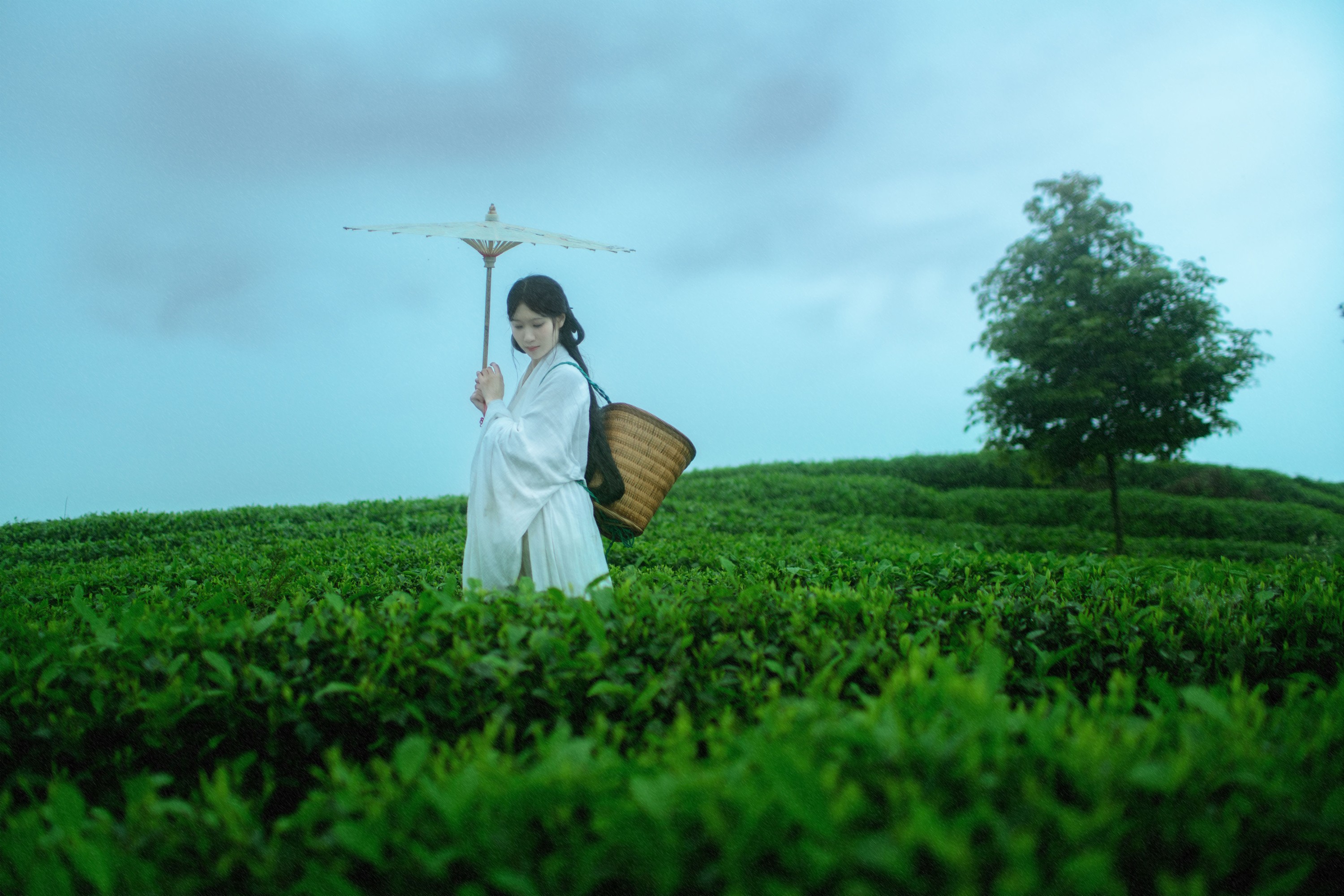 图片[5] - 初茶 - 《空山灵雨》[27P] - 机器猫次元 - 机器猫次元