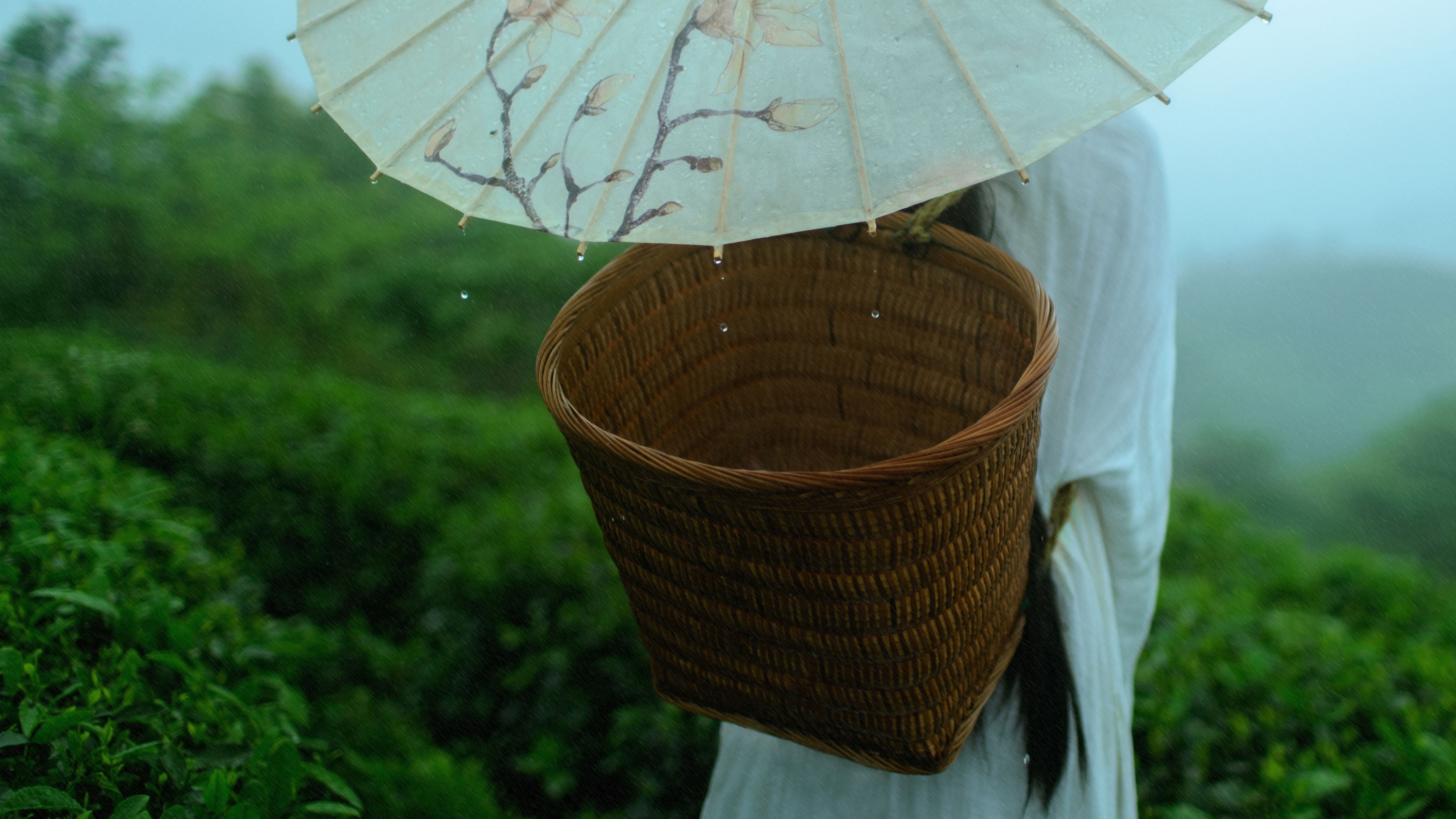 图片[6] - 初茶 - 《空山灵雨》[27P] - 机器猫次元 - 机器猫次元