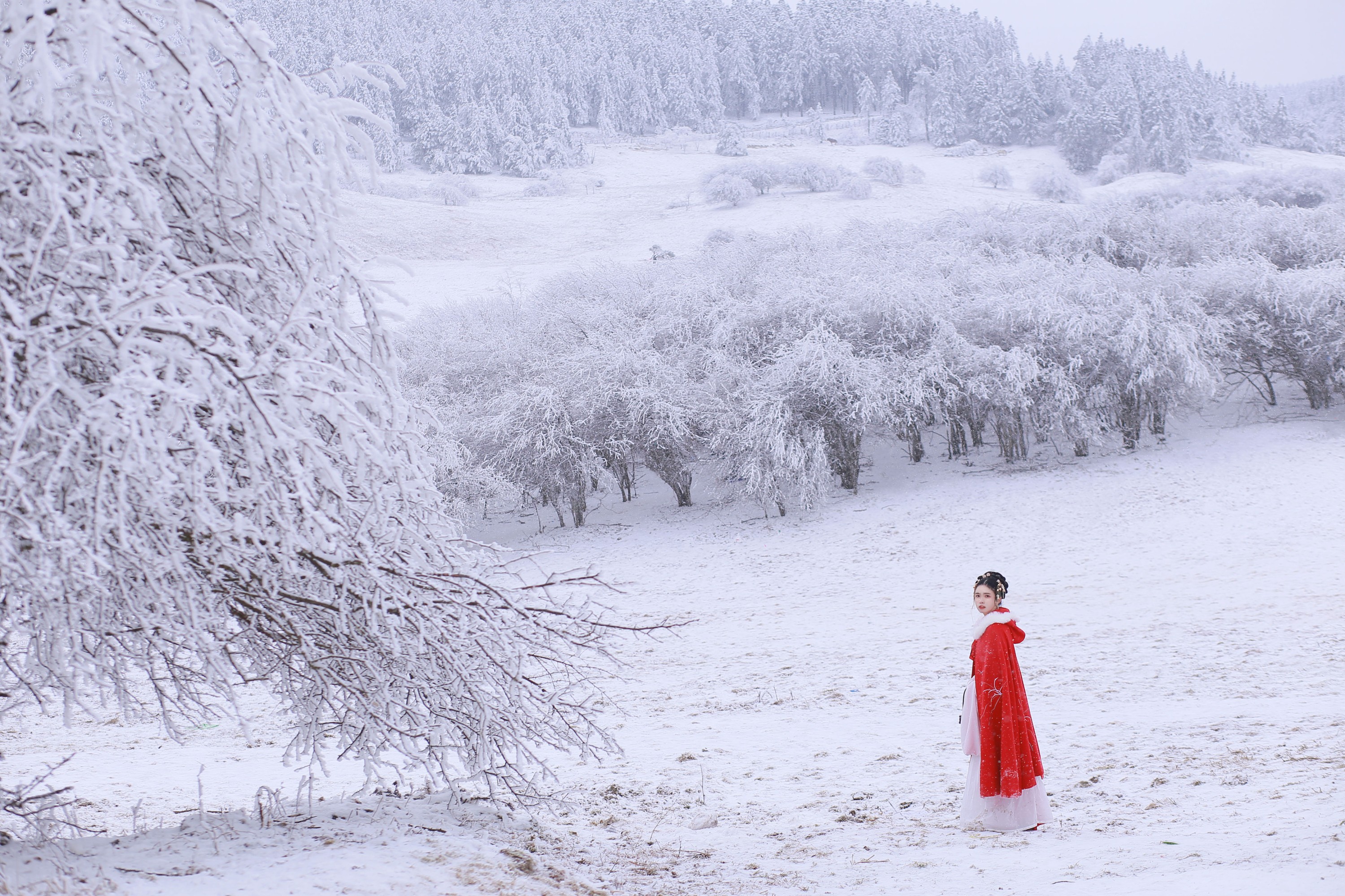 图片[4] - 沂越 - 《大雪》[35P] - 机器猫次元 - 机器猫次元