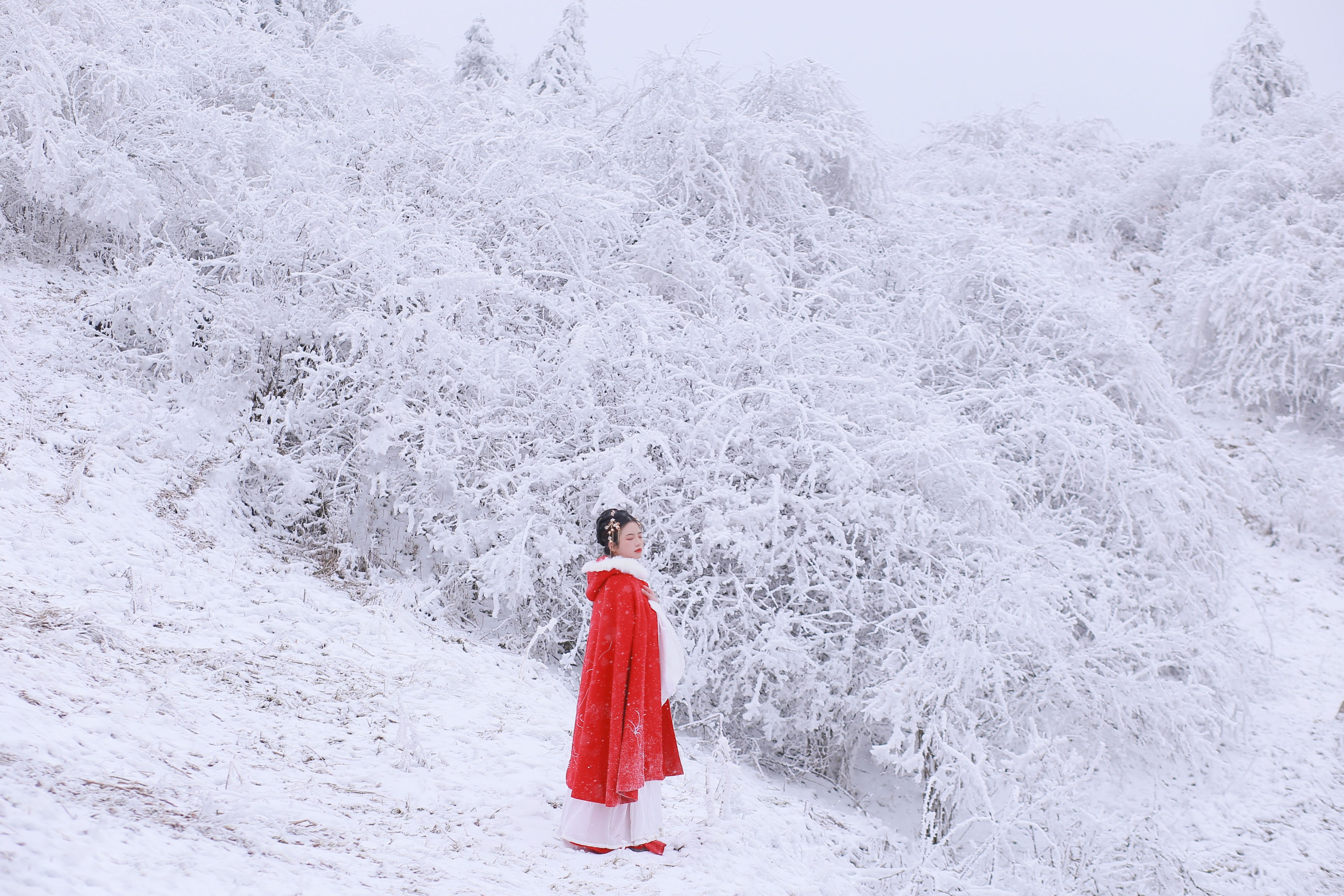 图片[8] - 沂越 - 《大雪》[35P] - 机器猫次元 - 机器猫次元