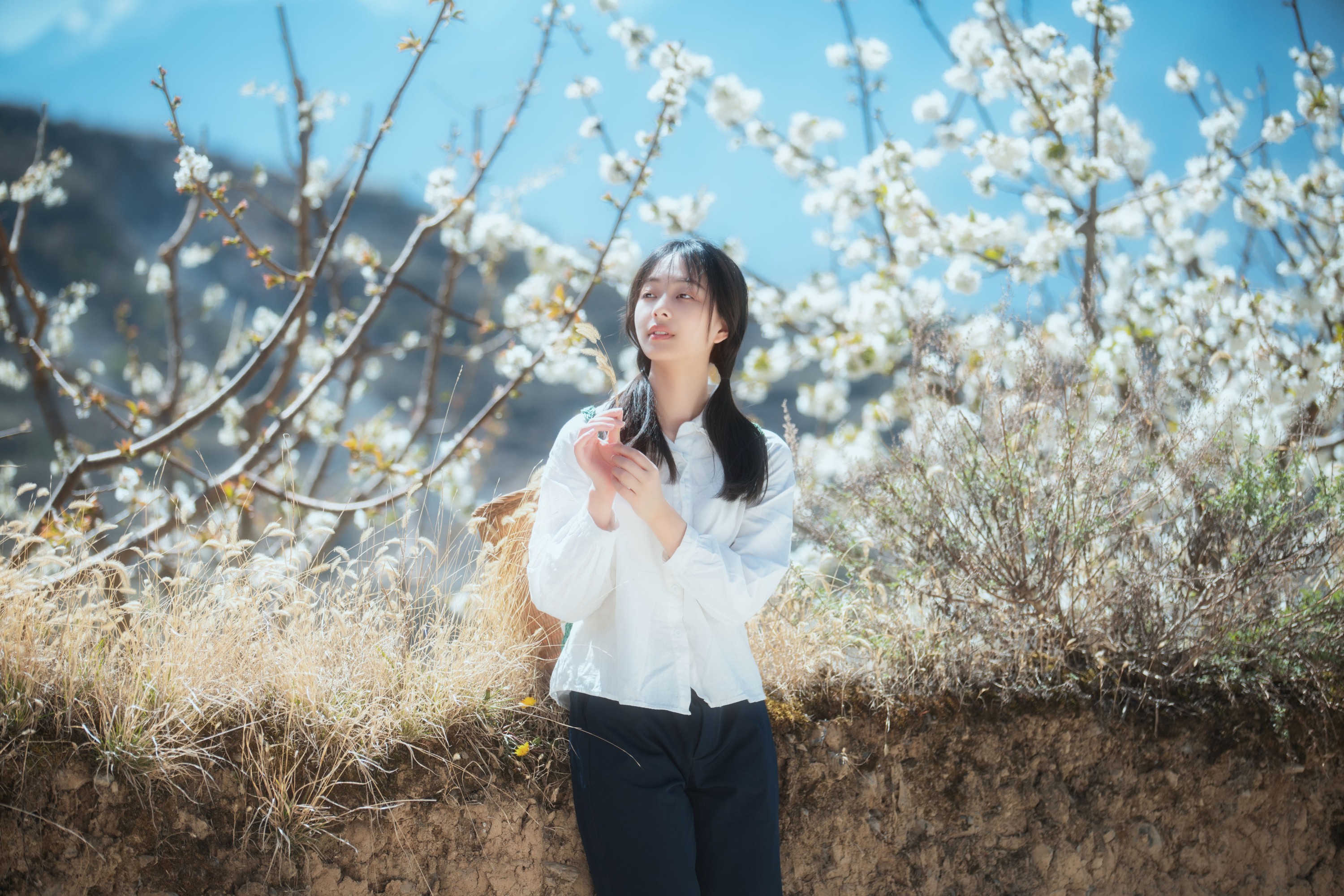 图片[8] - 欢欢 - 《故乡的小燕子》[36P] - 机器猫次元 - 机器猫次元