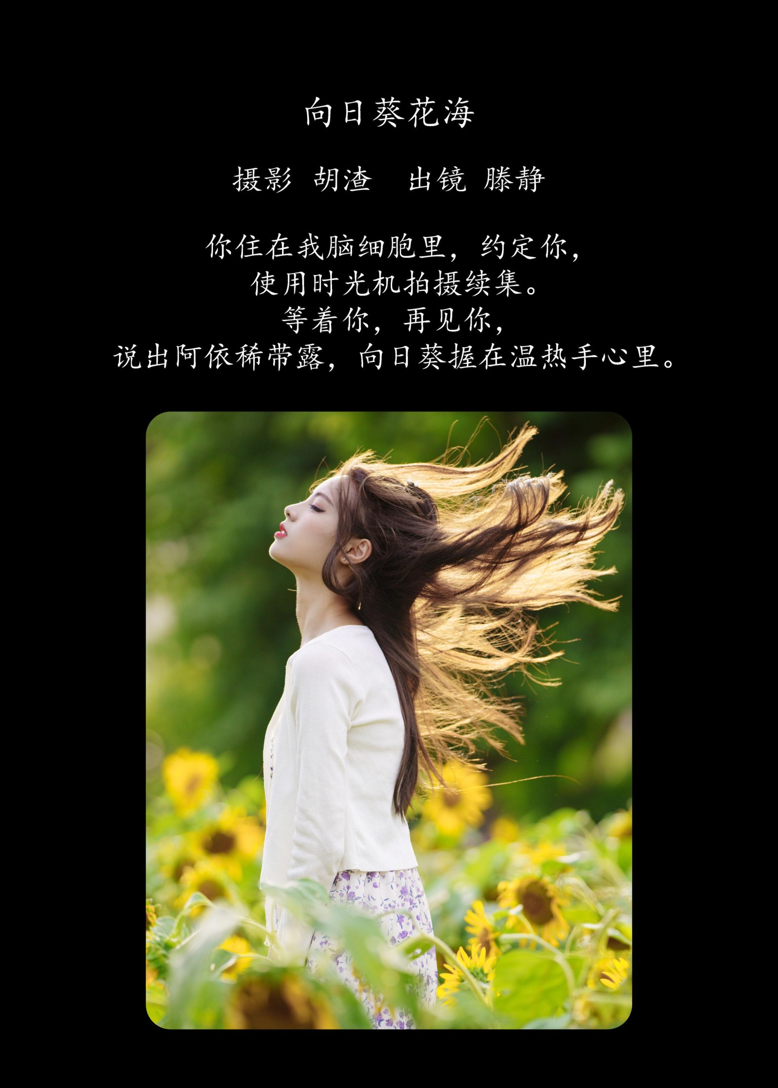 图片[2] - 滕静 - 《向日葵花海》[31P] - 机器猫次元 - 机器猫次元
