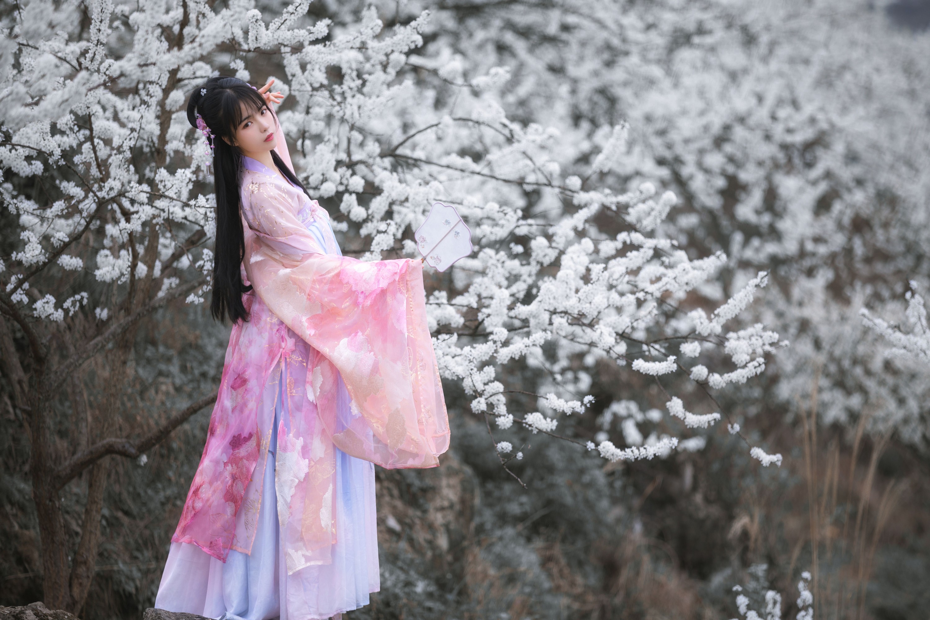 图片[5] - 赵瑞洁EZ_ - 《杏花弦外雨》[23P] - 机器猫次元 - 机器猫次元