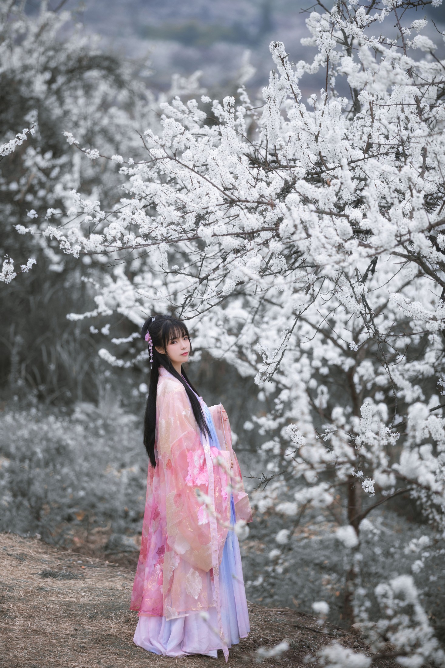 图片[3] - 赵瑞洁EZ_ - 《杏花弦外雨》[23P] - 机器猫次元 - 机器猫次元