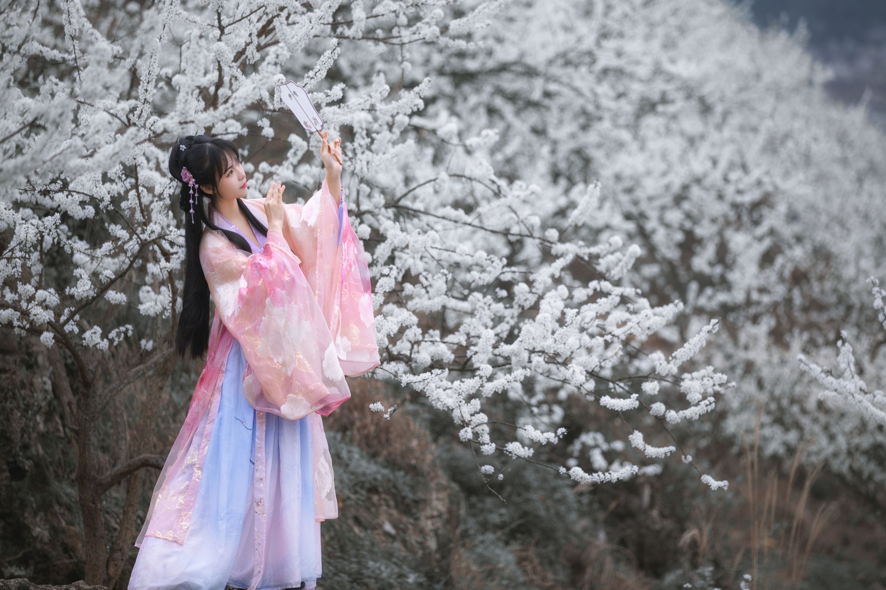 图片[6] - 赵瑞洁EZ_ - 《杏花弦外雨》[23P] - 机器猫次元 - 机器猫次元