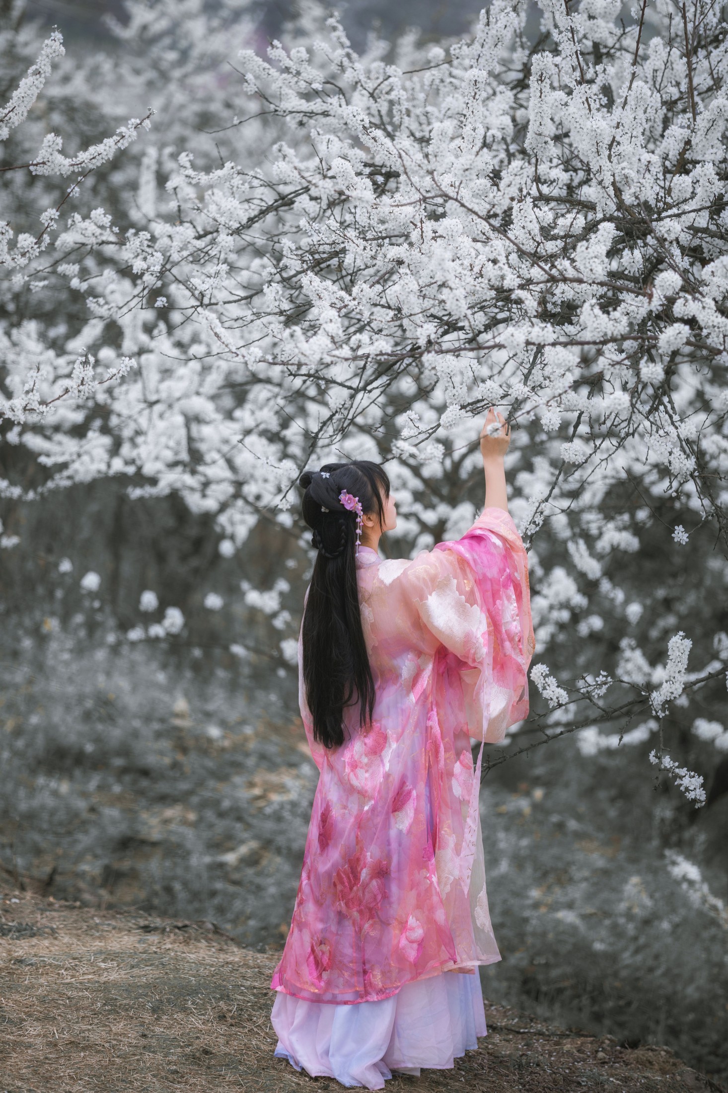 图片[4] - 赵瑞洁EZ_ - 《杏花弦外雨》[23P] - 机器猫次元 - 机器猫次元
