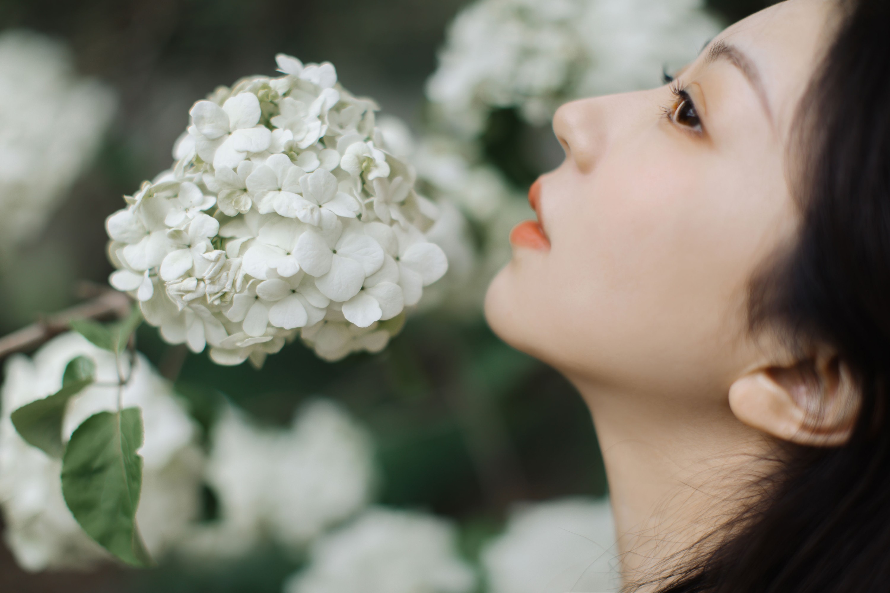 图片[7] - 小汤姆 - 《绣球花开》[22P] - 机器猫次元 - 机器猫次元