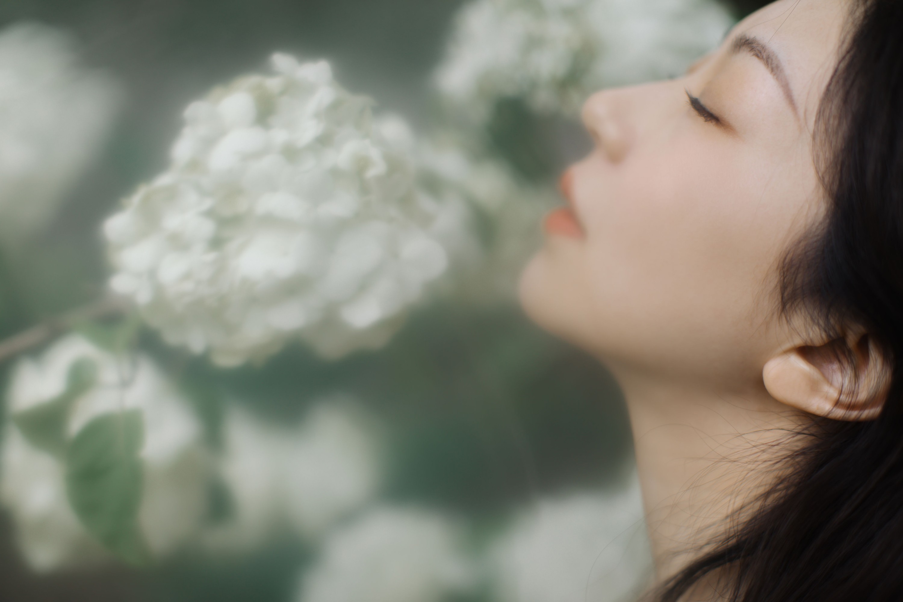 图片[8] - 小汤姆 - 《绣球花开》[22P] - 机器猫次元 - 机器猫次元