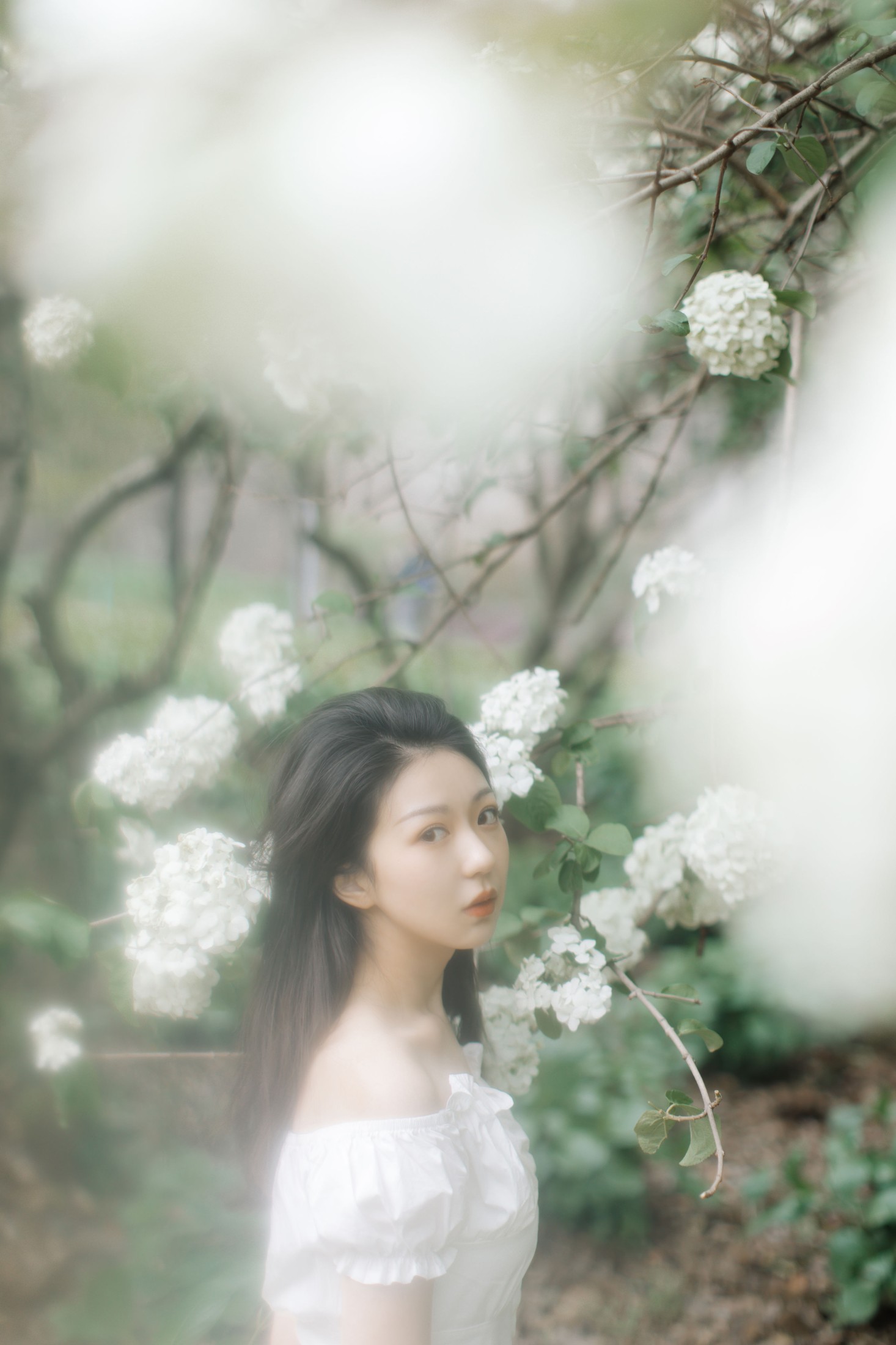 图片[3] - 小汤姆 - 《绣球花开》[22P] - 机器猫次元 - 机器猫次元