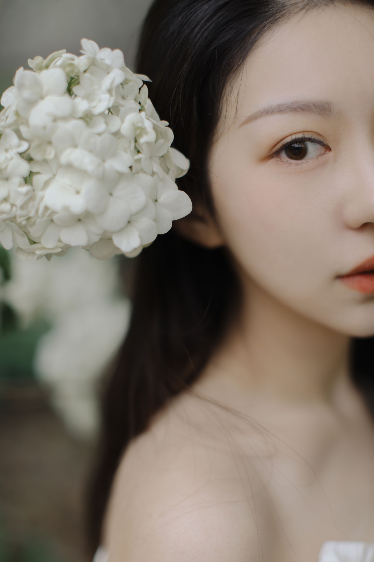 图片[6] - 小汤姆 - 《绣球花开》[22P] - 机器猫次元 - 机器猫次元