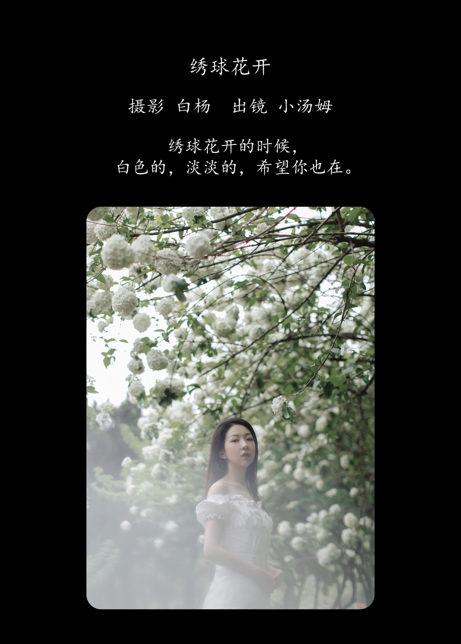图片[2] - 小汤姆 - 《绣球花开》[22P] - 机器猫次元 - 机器猫次元