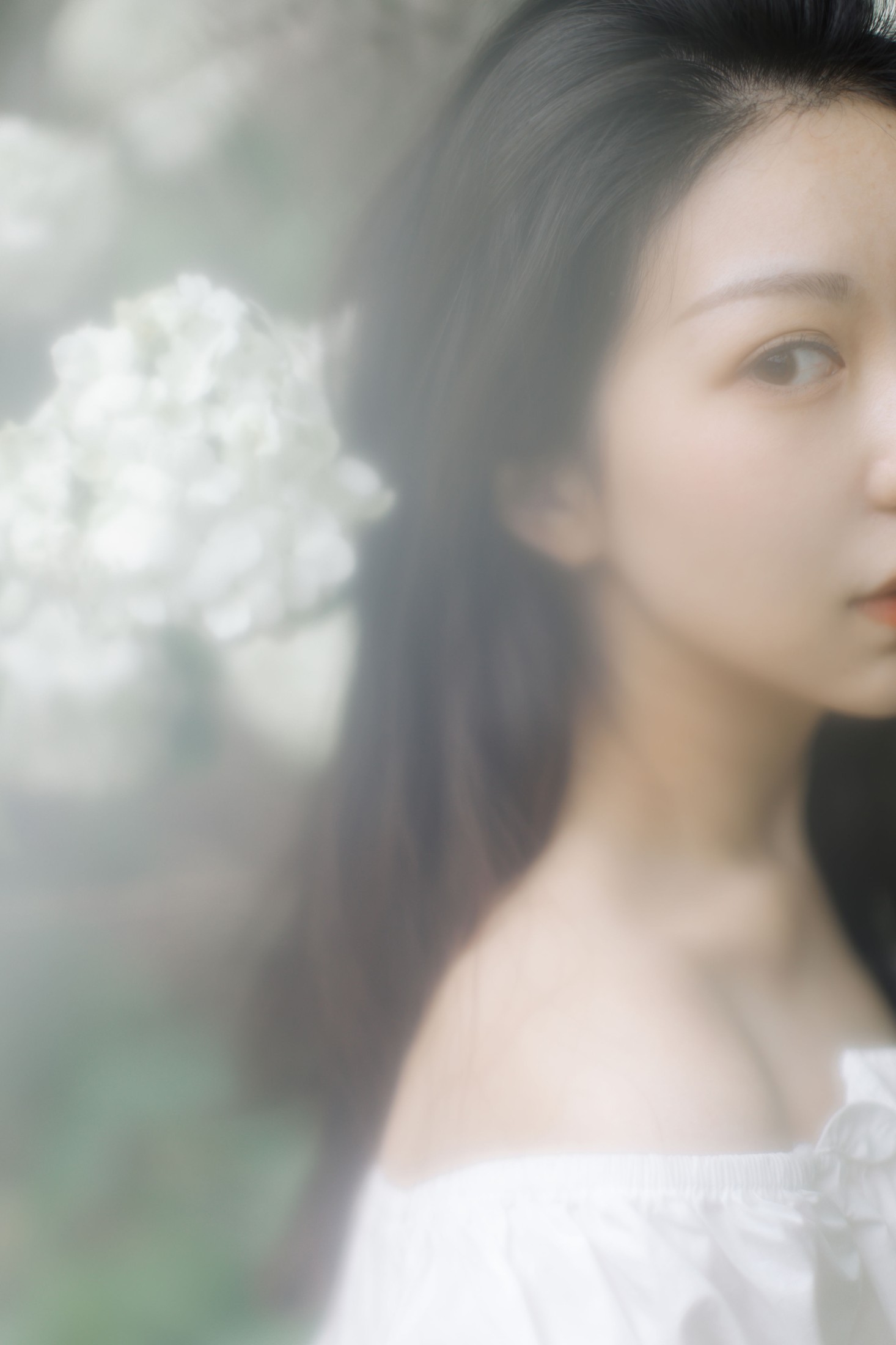 图片[4] - 小汤姆 - 《绣球花开》[22P] - 机器猫次元 - 机器猫次元