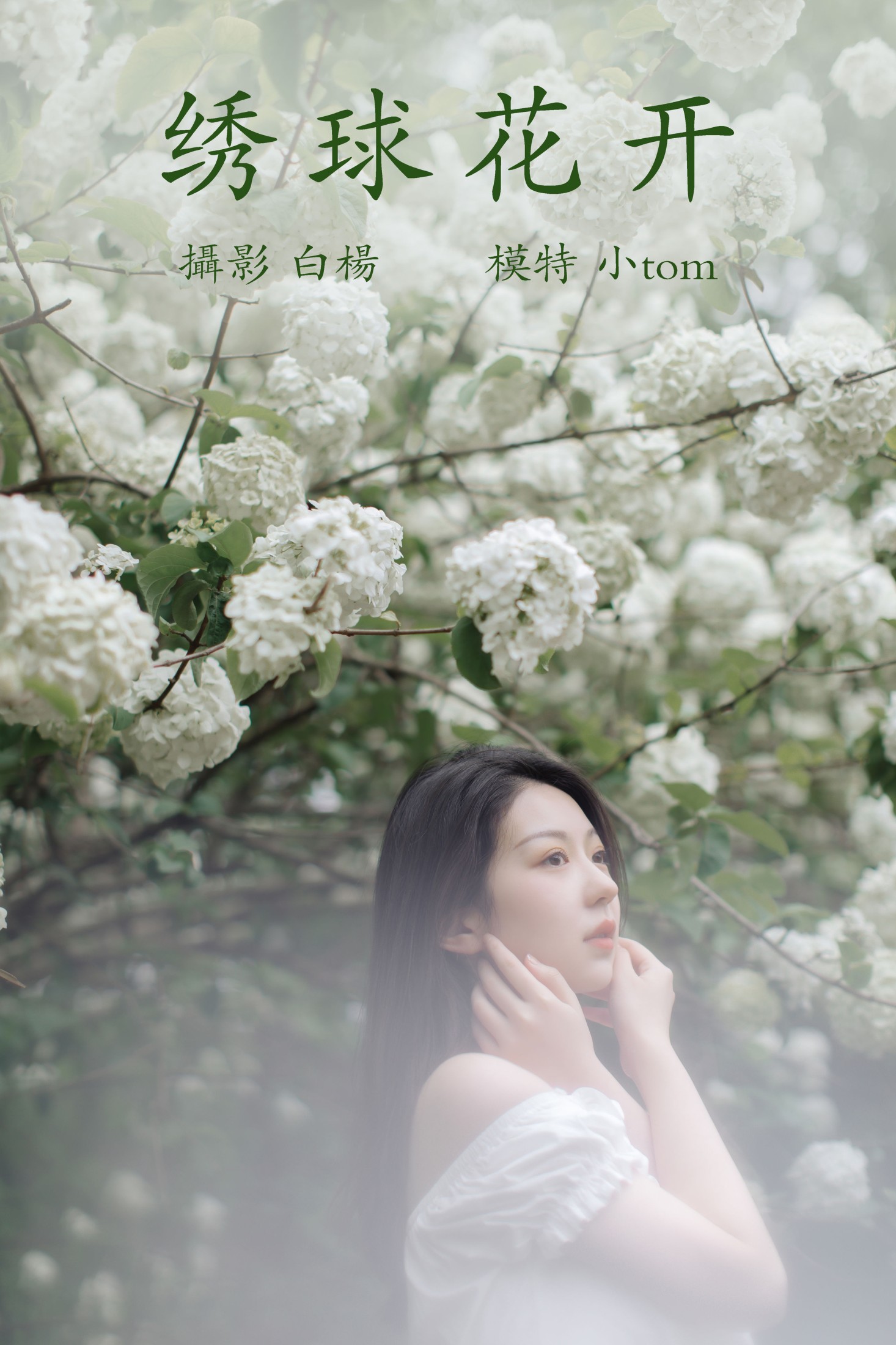 图片[1] - 小汤姆 - 《绣球花开》[22P] - 机器猫次元 - 机器猫次元