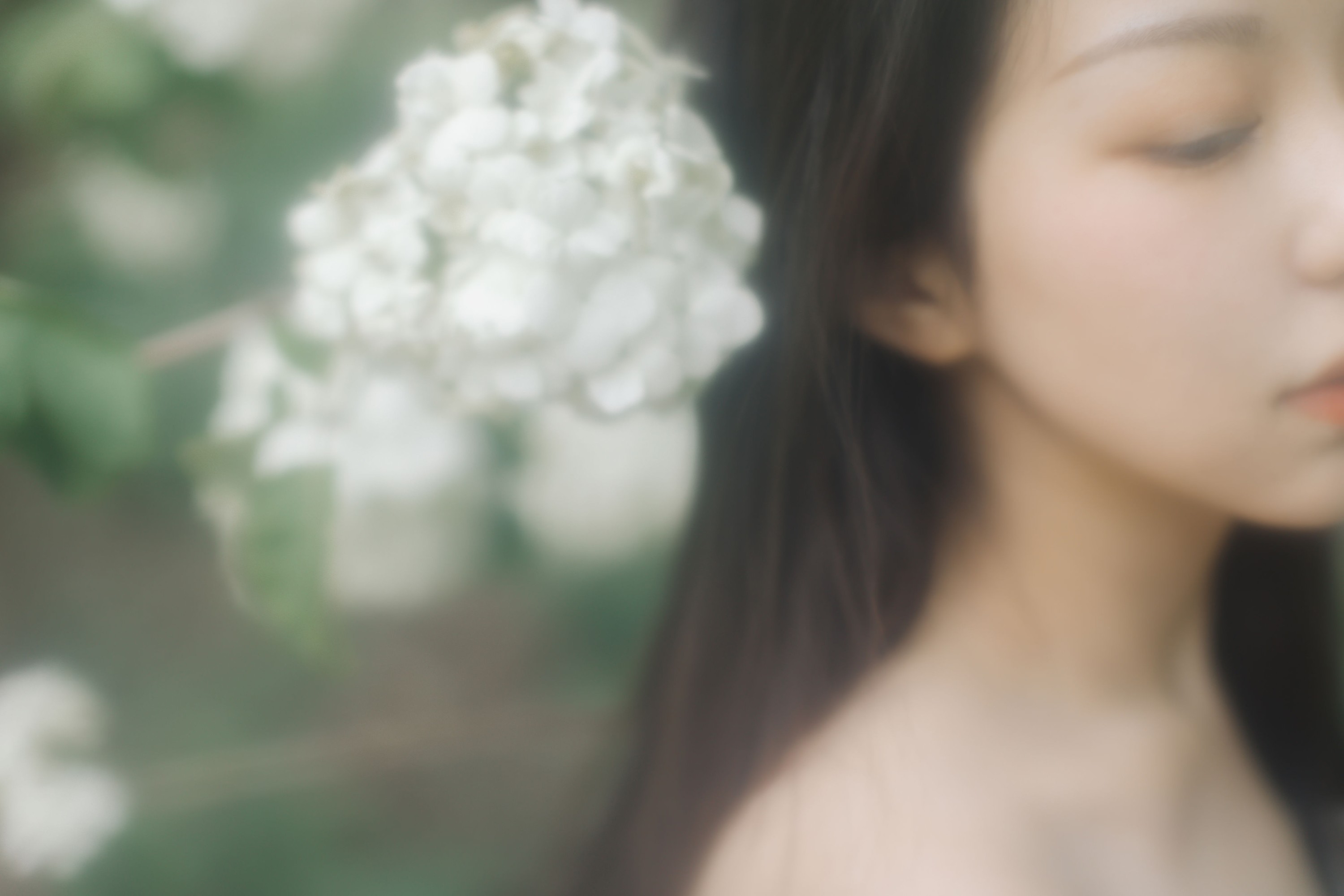 图片[5] - 小汤姆 - 《绣球花开》[22P] - 机器猫次元 - 机器猫次元