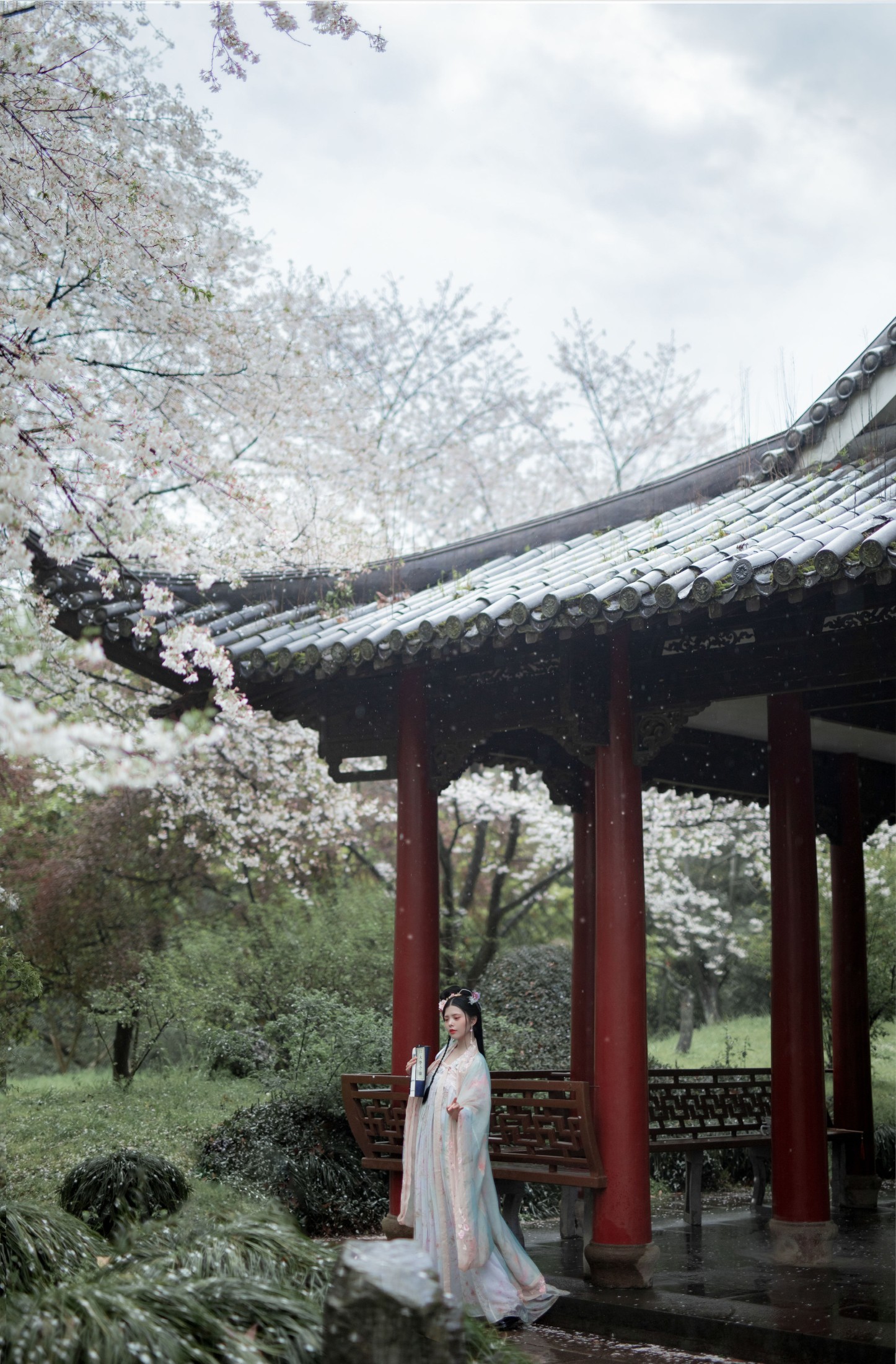 图片[3] - Abbye_e章 - 《樱》[22P] - 机器猫次元 - 机器猫次元