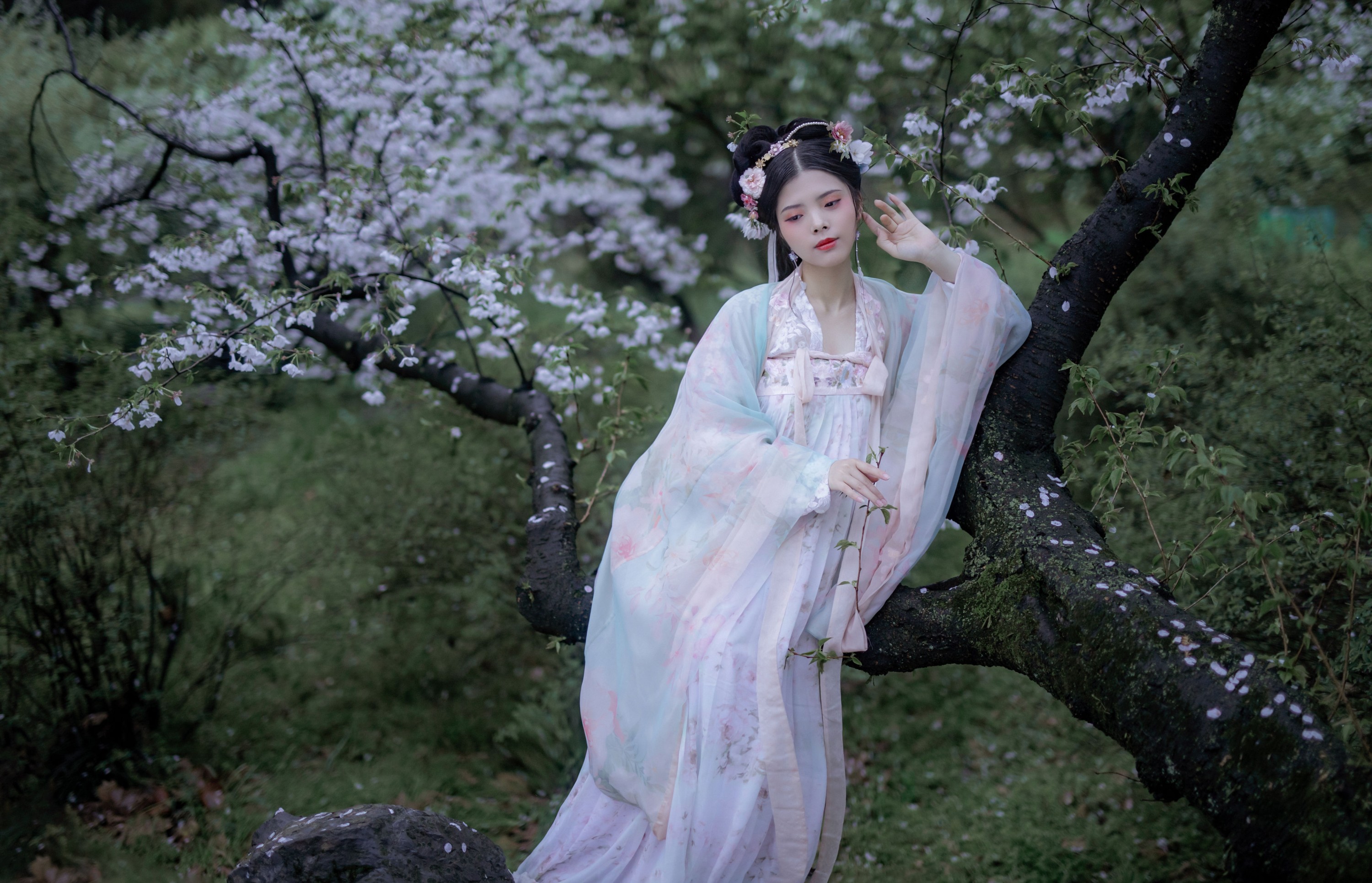图片[6] - Abbye_e章 - 《樱》[22P] - 机器猫次元 - 机器猫次元