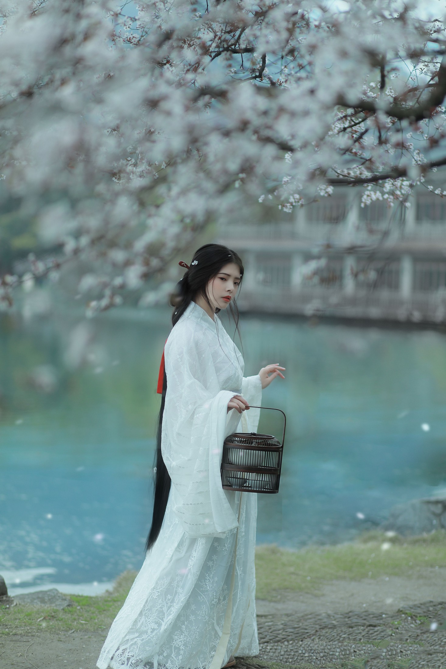 图片[3] - Abbye_e章 - 《杏花雨》[21P] - 机器猫次元 - 机器猫次元