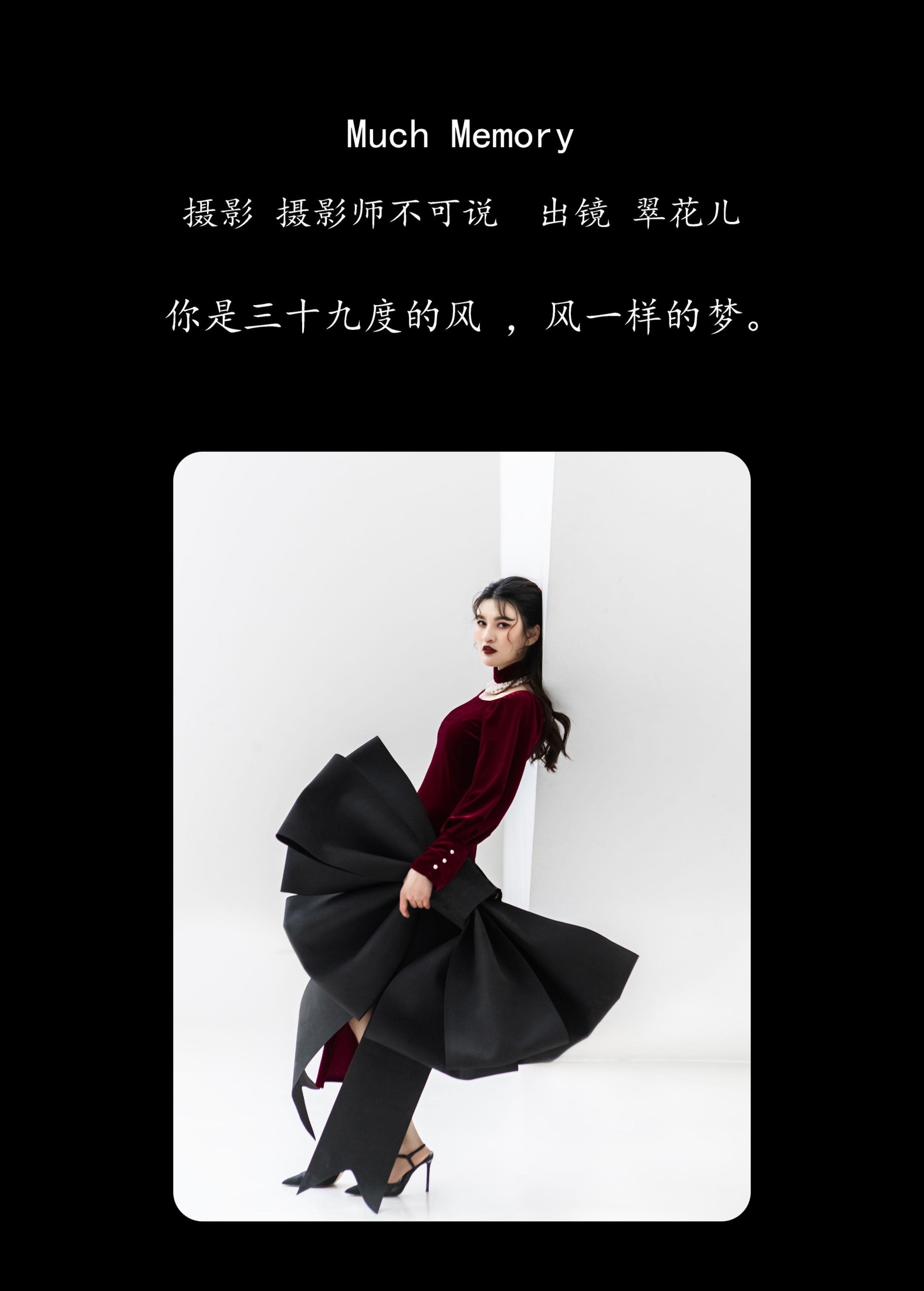 图片[2] - 翠花儿 - 《Much Memory》[28P] - 机器猫次元 - 机器猫次元