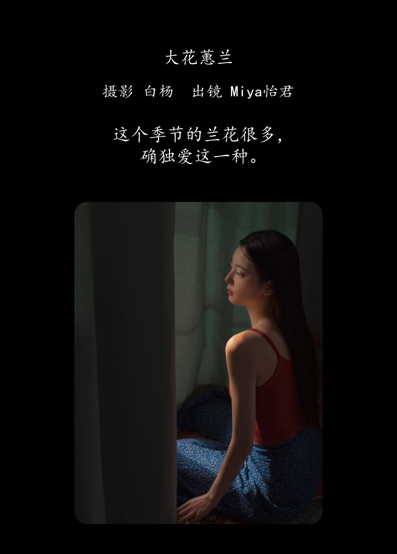图片[2] - Miya怡君 - 《大花蕙兰》[24P] - 机器猫次元 - 机器猫次元