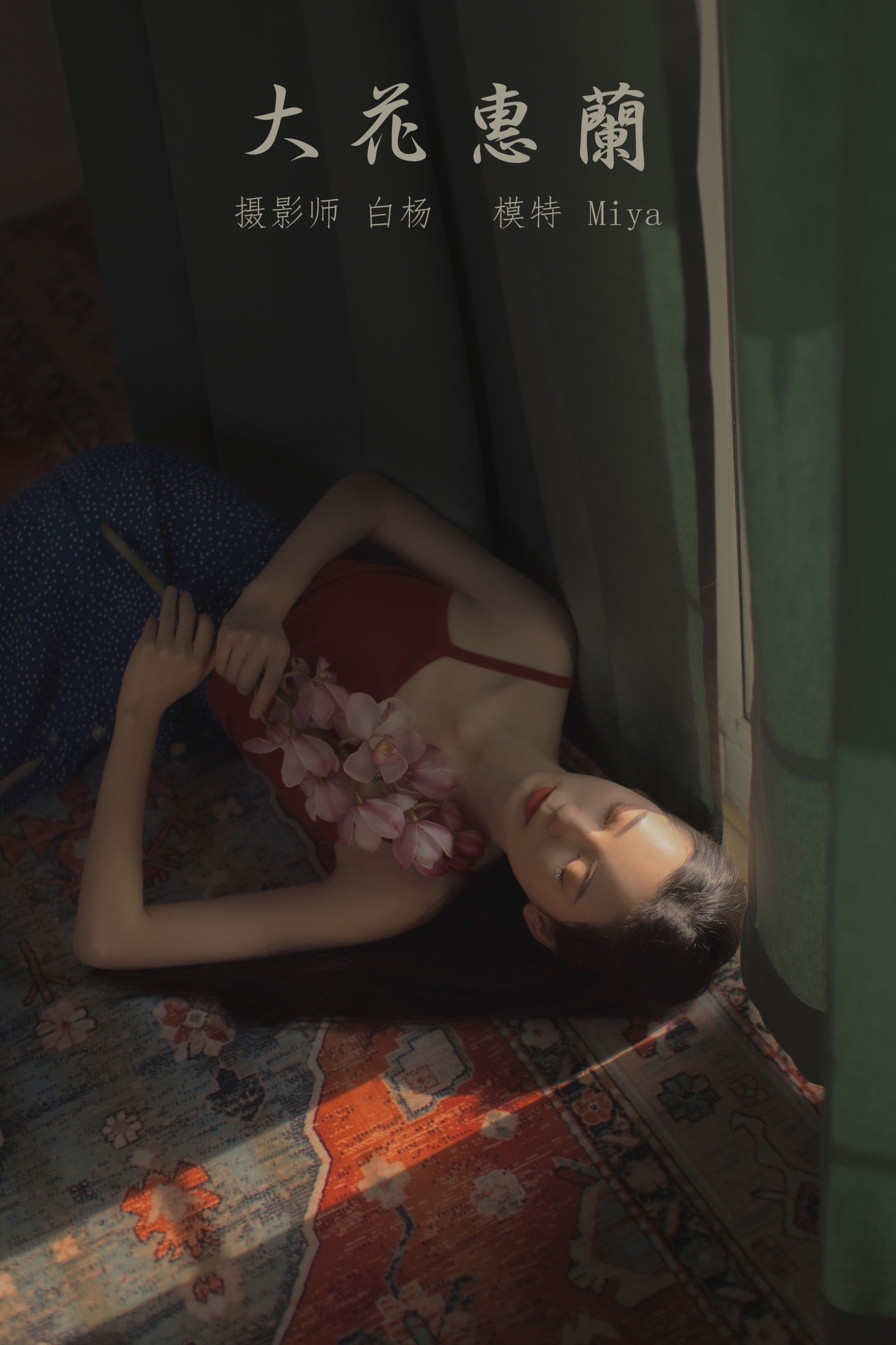 图片[1] - Miya怡君 - 《大花蕙兰》[24P] - 机器猫次元 - 机器猫次元