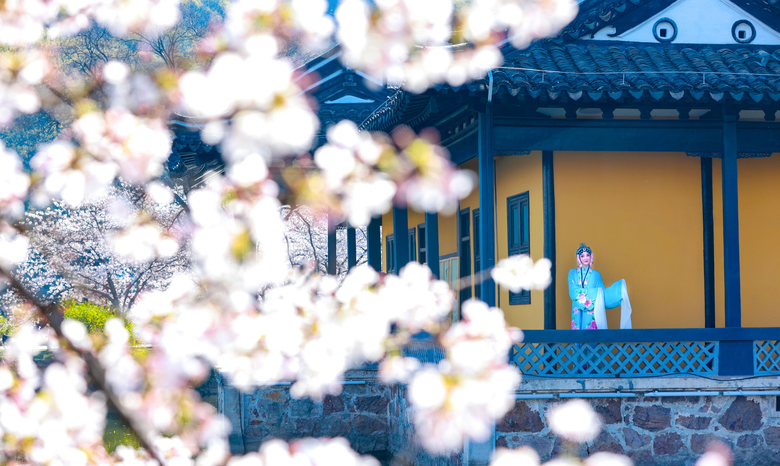 图片[4] - 丹琼 - 《樱花有戏》[24P] - 机器猫次元 - 机器猫次元