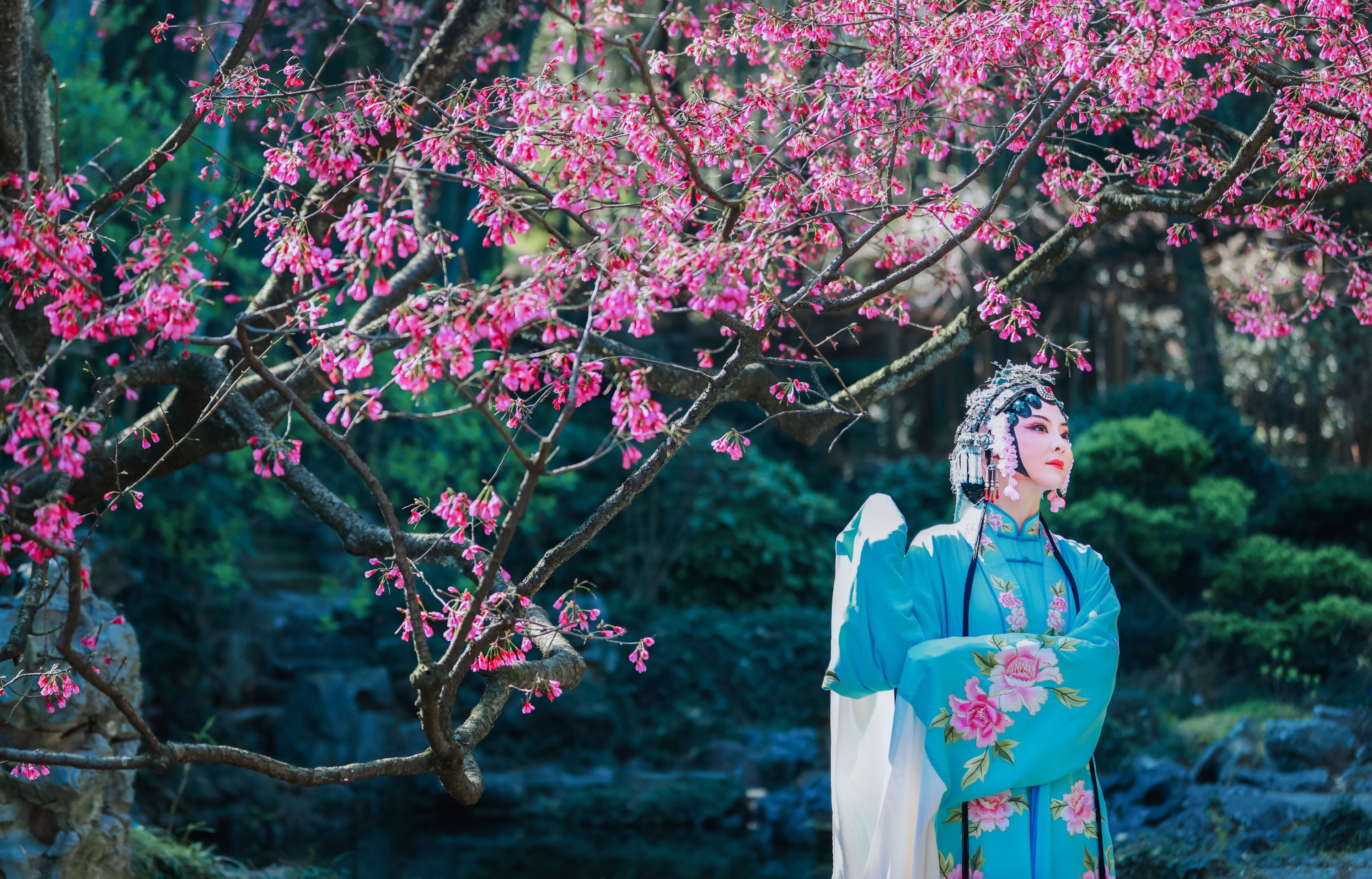 图片[6] - 丹琼 - 《樱花有戏》[24P] - 机器猫次元 - 机器猫次元