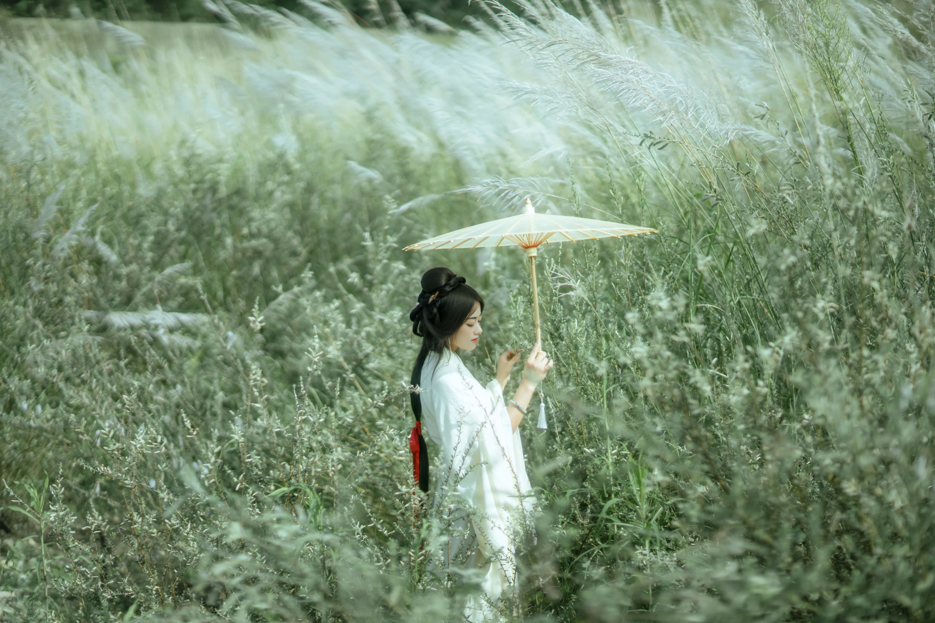 图片[6] - 陌颜 - 《芦花漫》[30P] - 机器猫次元 - 机器猫次元