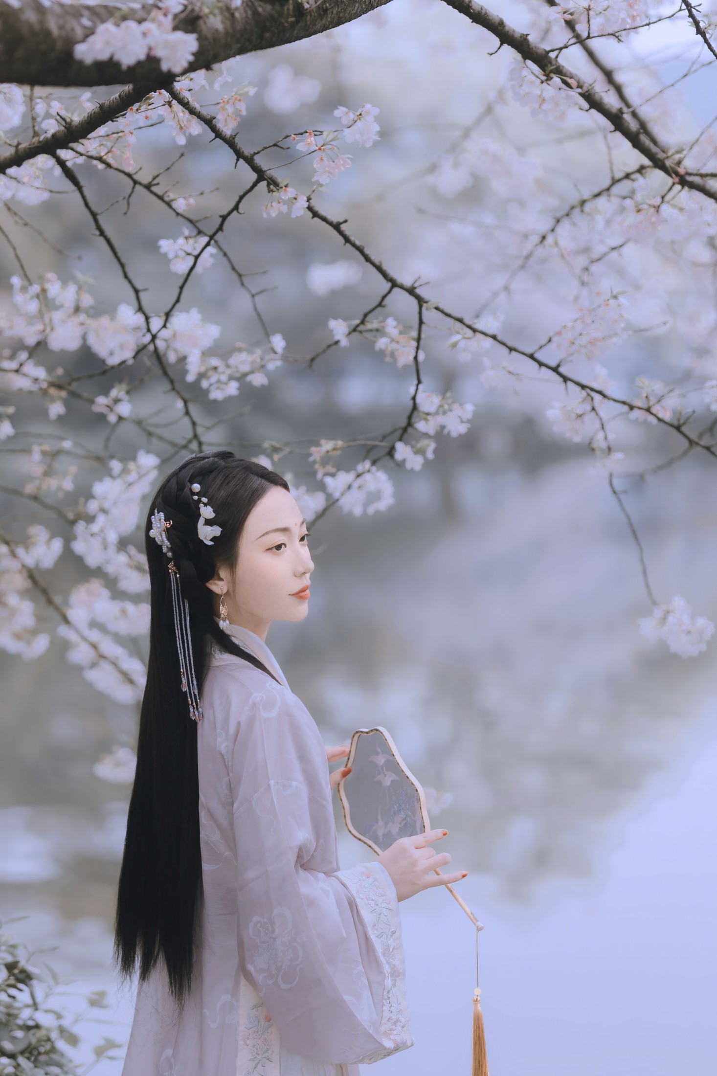 图片[5] - 日鹅夜鹅想食烧鹅 - 《樱花落》[26P] - 机器猫次元 - 机器猫次元