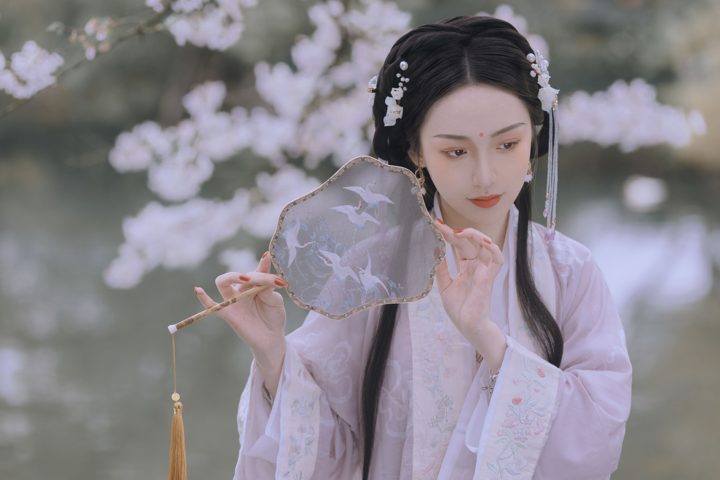 图片[4] - 日鹅夜鹅想食烧鹅 - 《樱花落》[26P] - 机器猫次元 - 机器猫次元