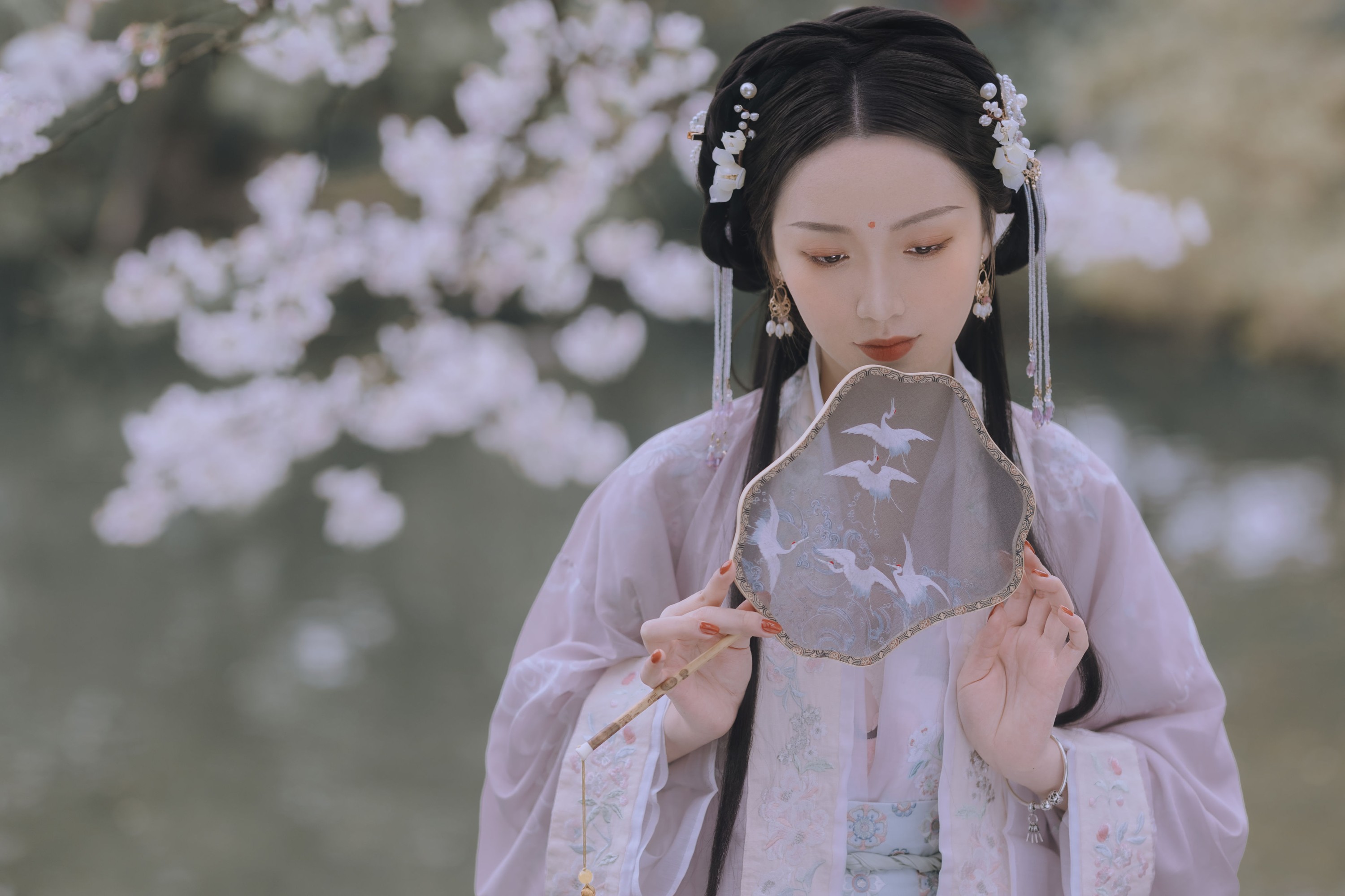 图片[7] - 日鹅夜鹅想食烧鹅 - 《樱花落》[26P] - 机器猫次元 - 机器猫次元