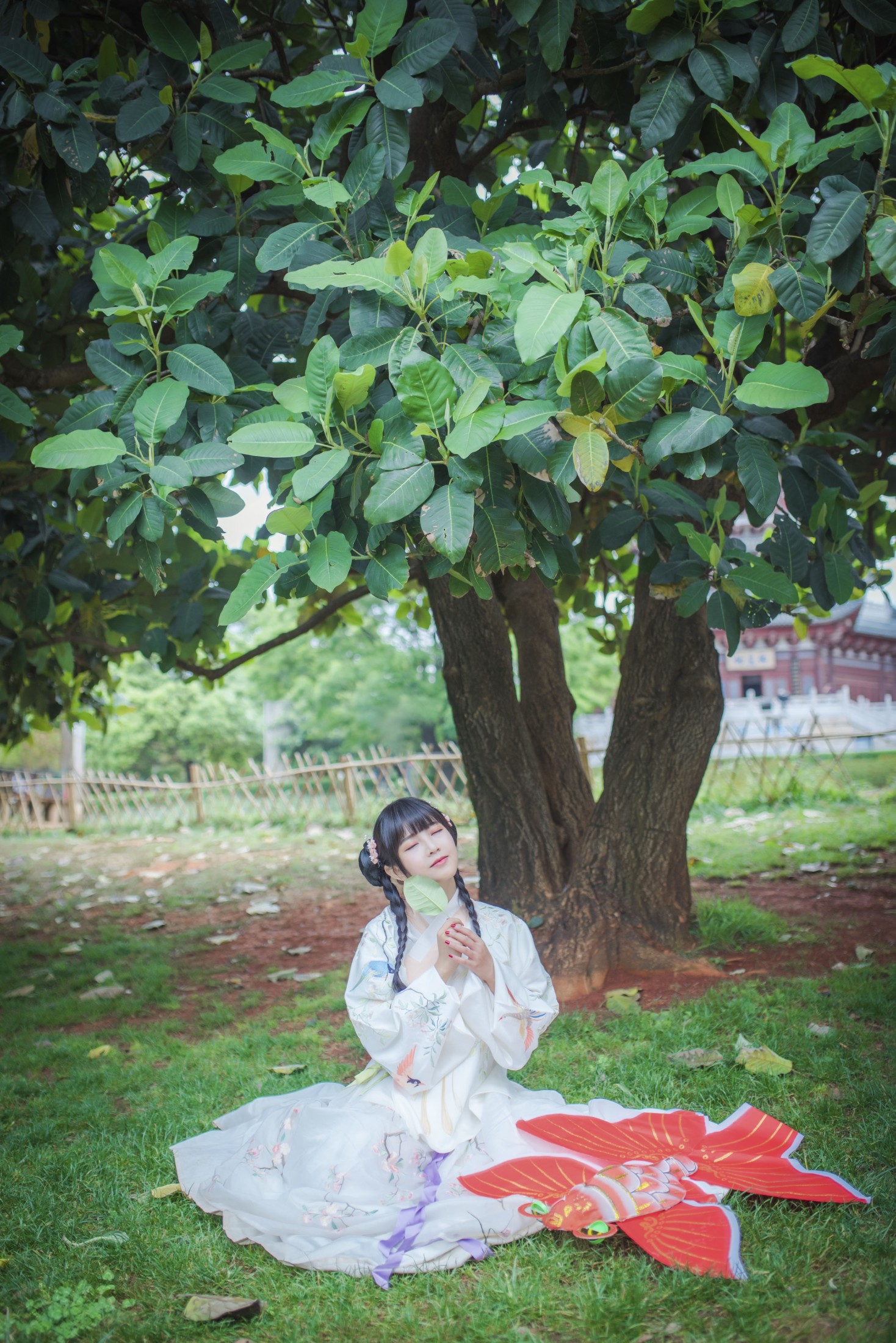 图片[4] - 澪mio兔兔纸 - 《橘子》[23P] - 机器猫次元 - 机器猫次元